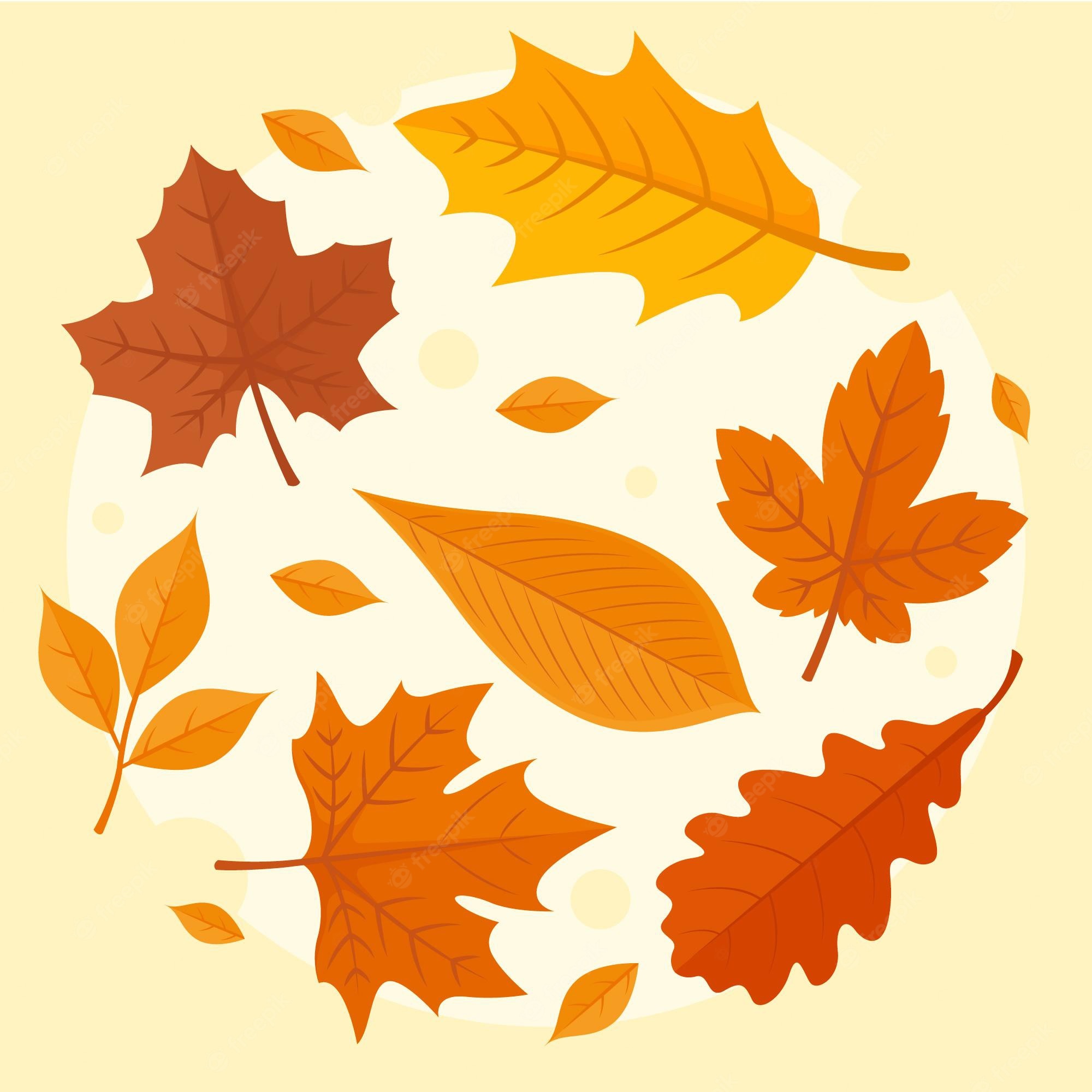 Autumn leaves cartoon Image. Free Vectors, & PSD