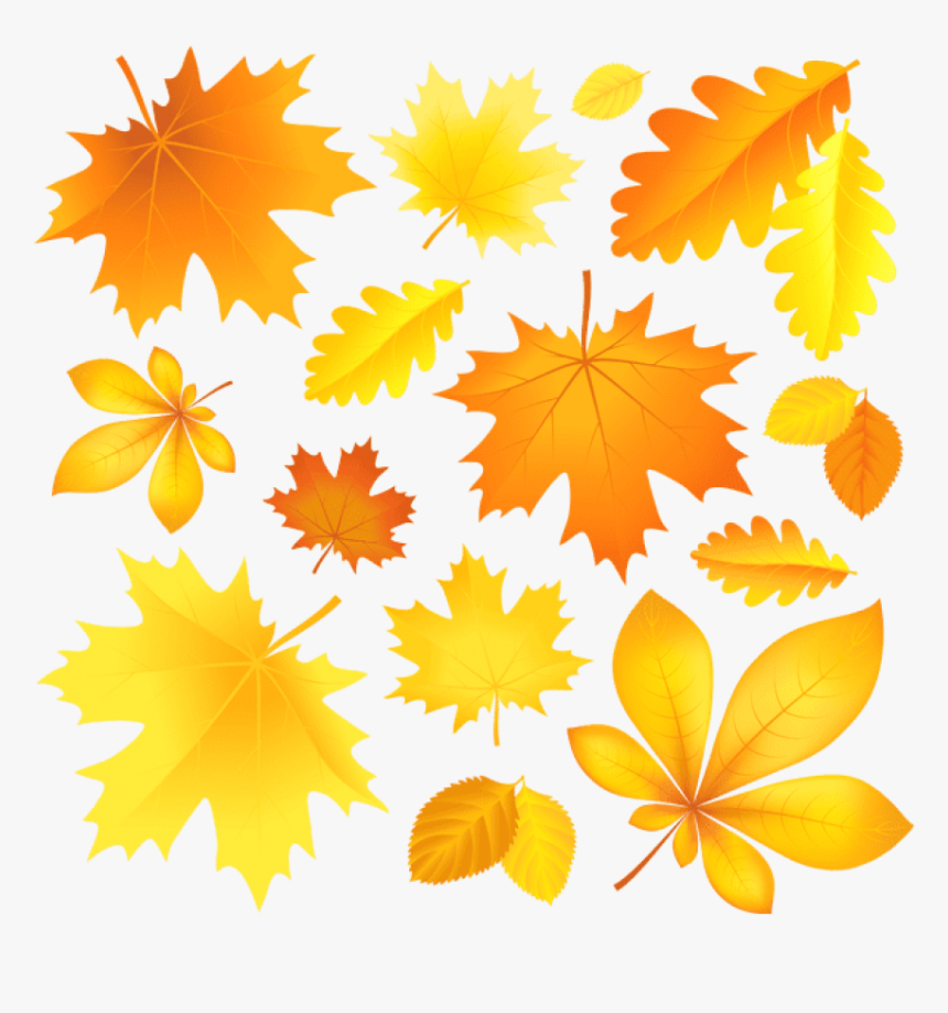 Download Transparent Fall Leaves Picture Clipart Png Image Of Autumn Leaves, Png Download