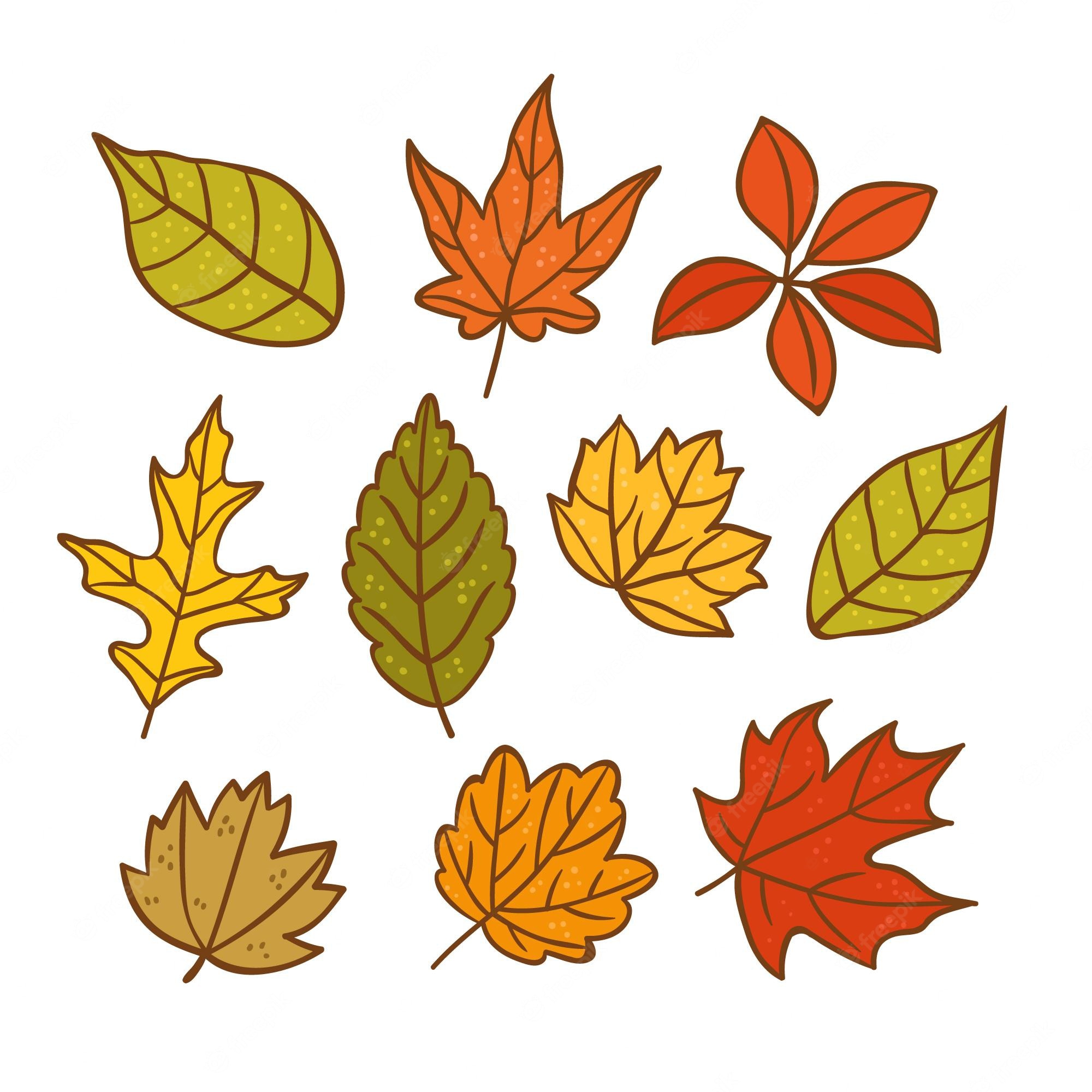 Autumn leaves cartoon Image. Free Vectors, & PSD