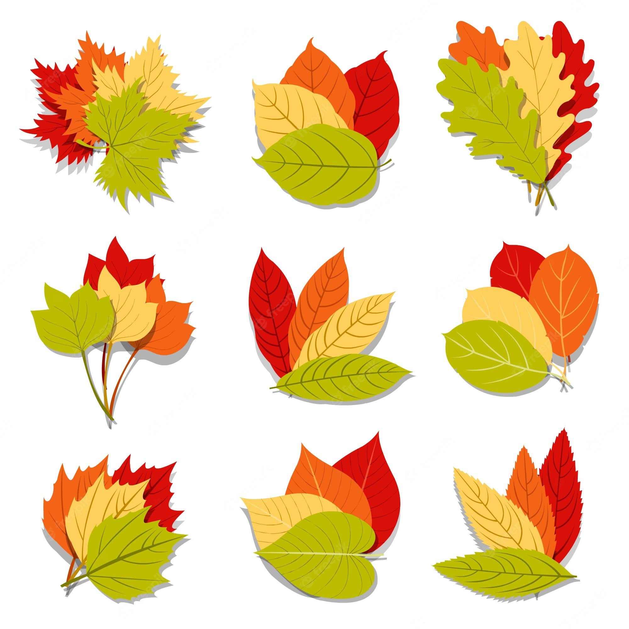 Autumn leaves cartoon Image. Free Vectors, & PSD