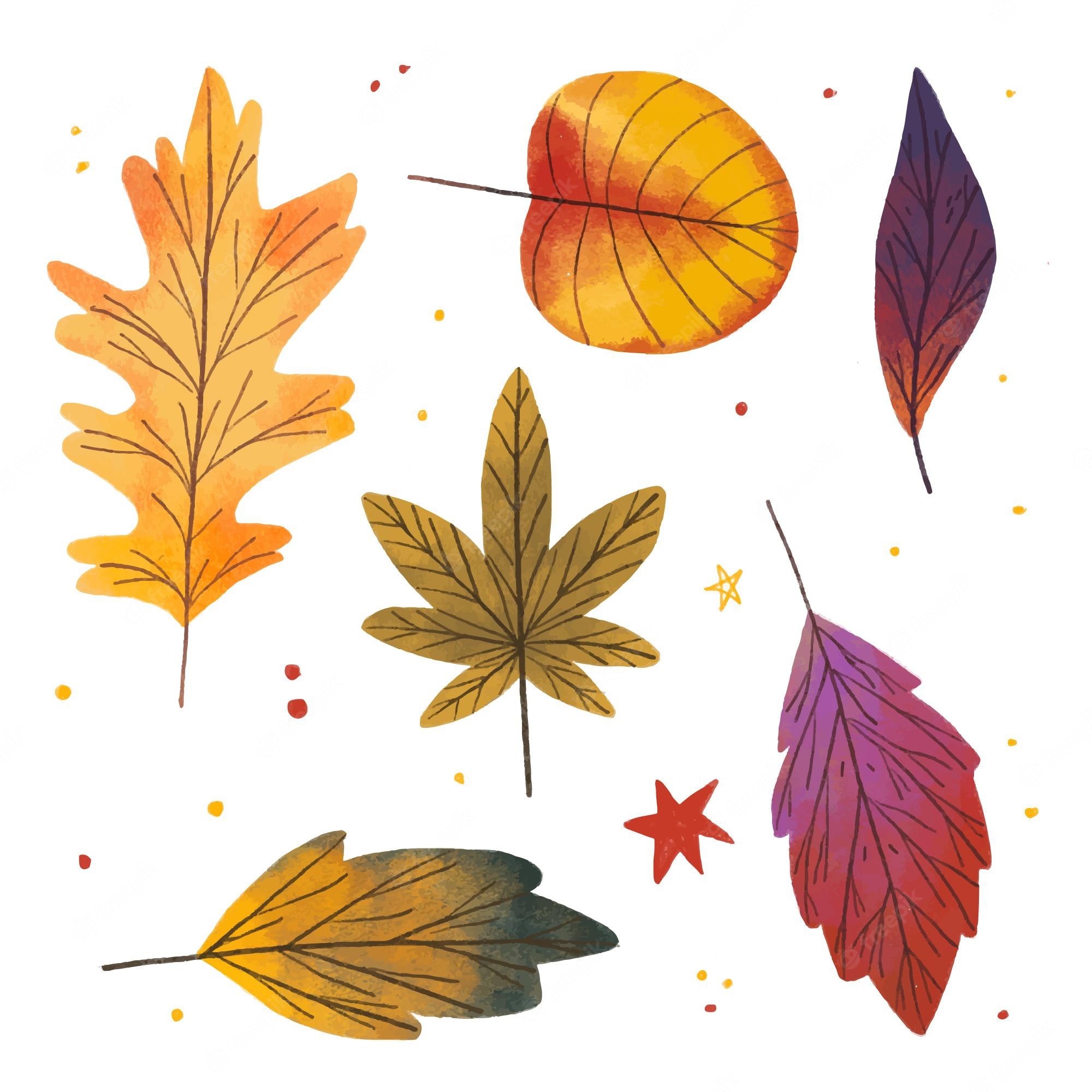 Autumn leaves cartoon Image. Free Vectors, & PSD