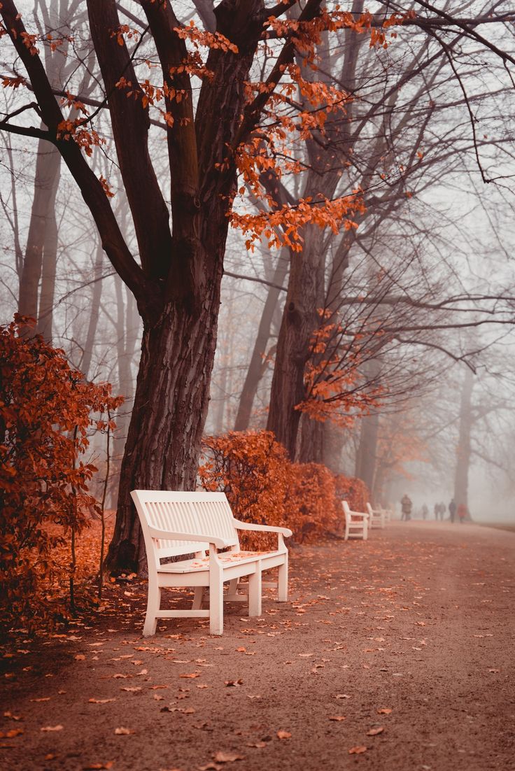 An autumn weekend in Warsaw, Poland. Warsaw, Autumn park, Autumn photography