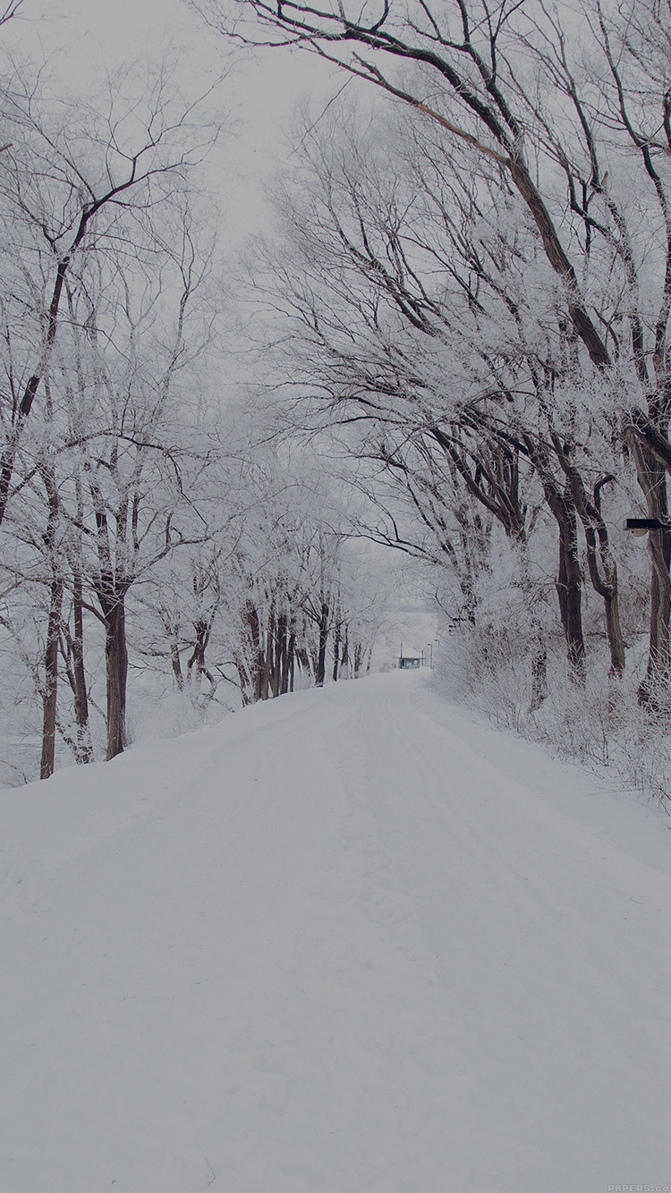 iPhone 6 wallpaper. winter road romantic nature mountain snow