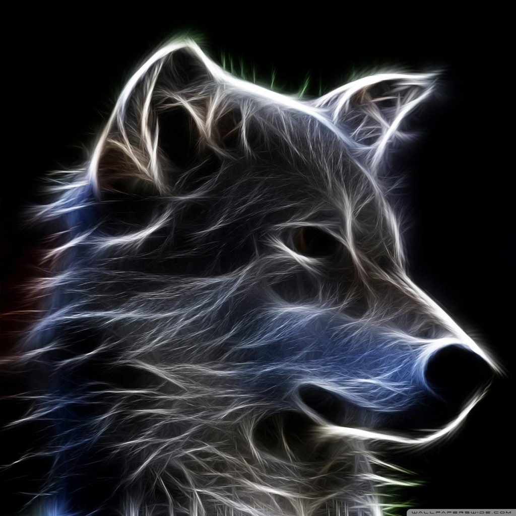 Wolf Ultra HD Desktop Background Wallpaper for 4K UHD TV, Tablet