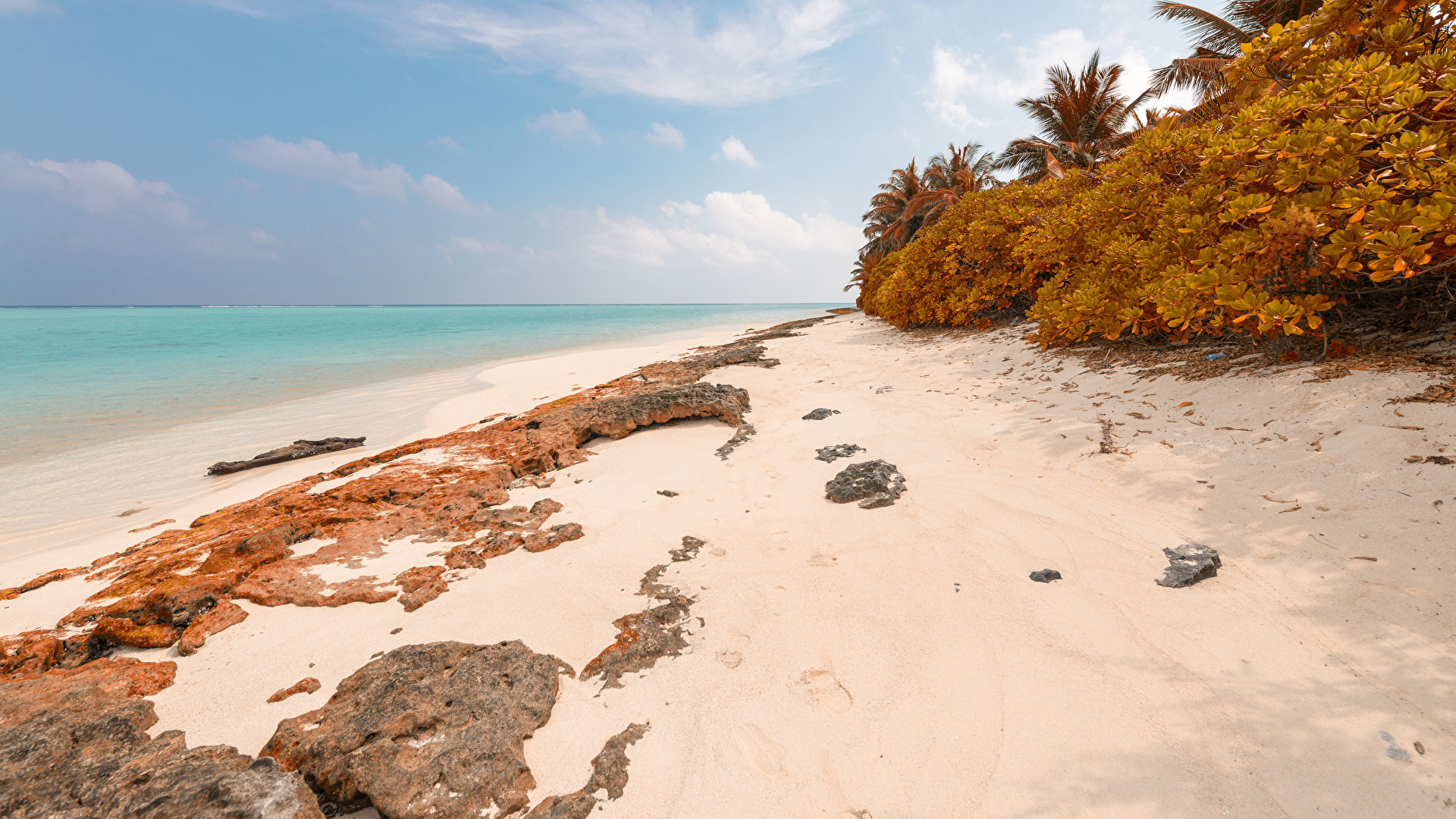 Picture Maldives Thoddoo Beach Autumn Nature Tropics Coast 1920x1080