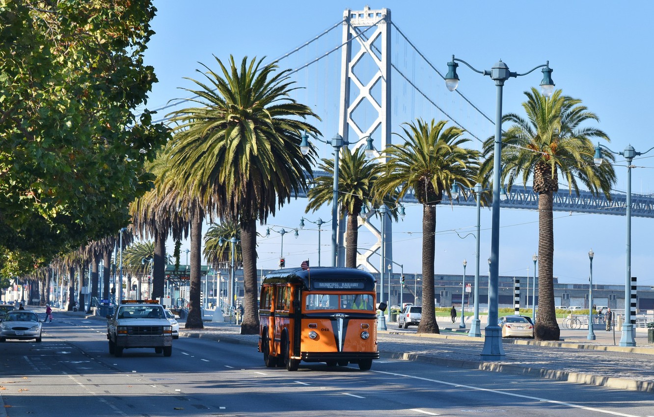 Wallpaper bridge, the city, palm trees, street, cars, San Francisco image for desktop, section город
