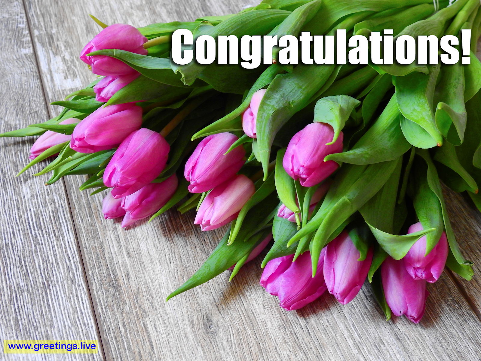 Greetings.Live*Free Daily Greetings Picture Festival GIF Image: Congratulations Image message Flower wishes