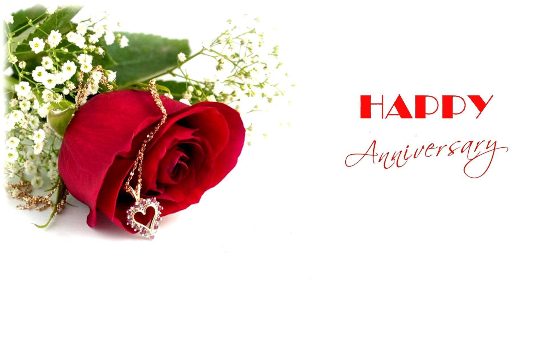 Download Happy Anniversary Message With Red Rose Wallpaper