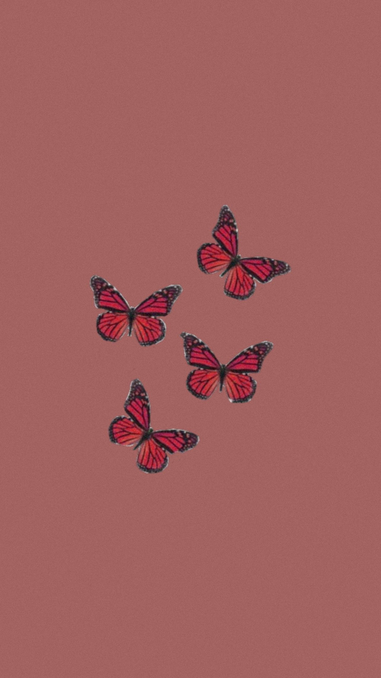HD wallpaper Red Butterflies redandblack butterfly digital wallpaper  Animals  Wallpaper Flare