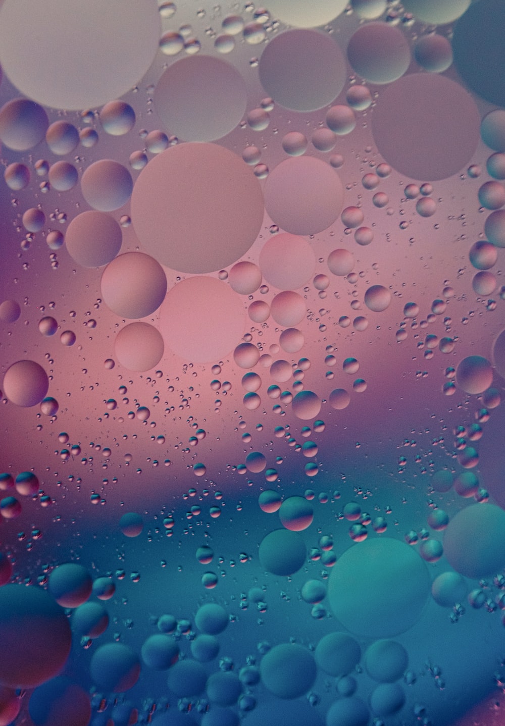 Bubbles Wallpaper Picture. Download Free Image