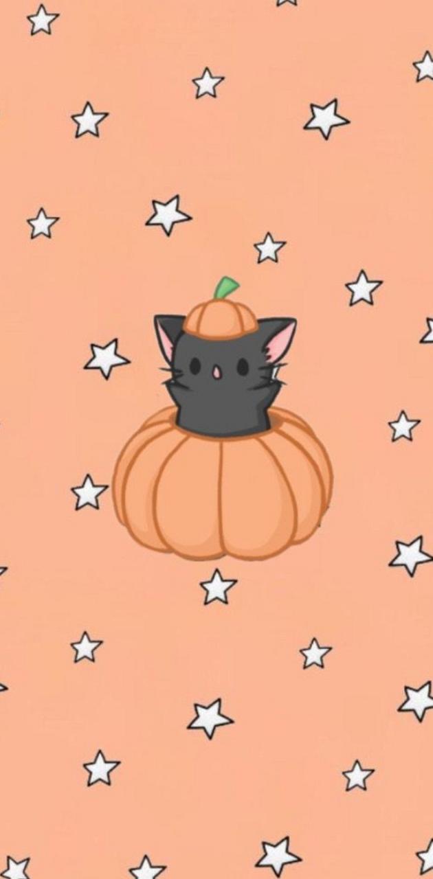 Cute Halloween cat wallpaper