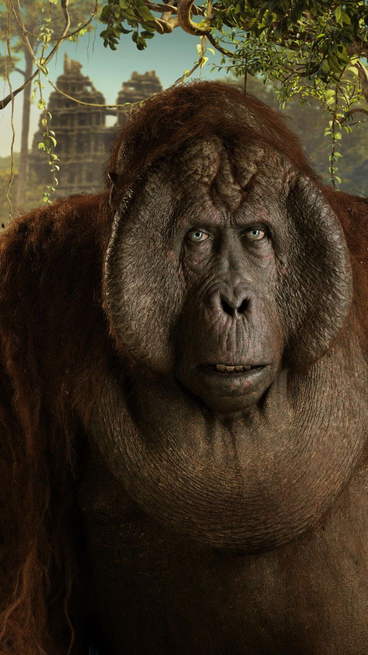 The Jungle Book Phone Wallpaper. Moviemania. Jungle book 2016, King louie jungle book, Jungle book