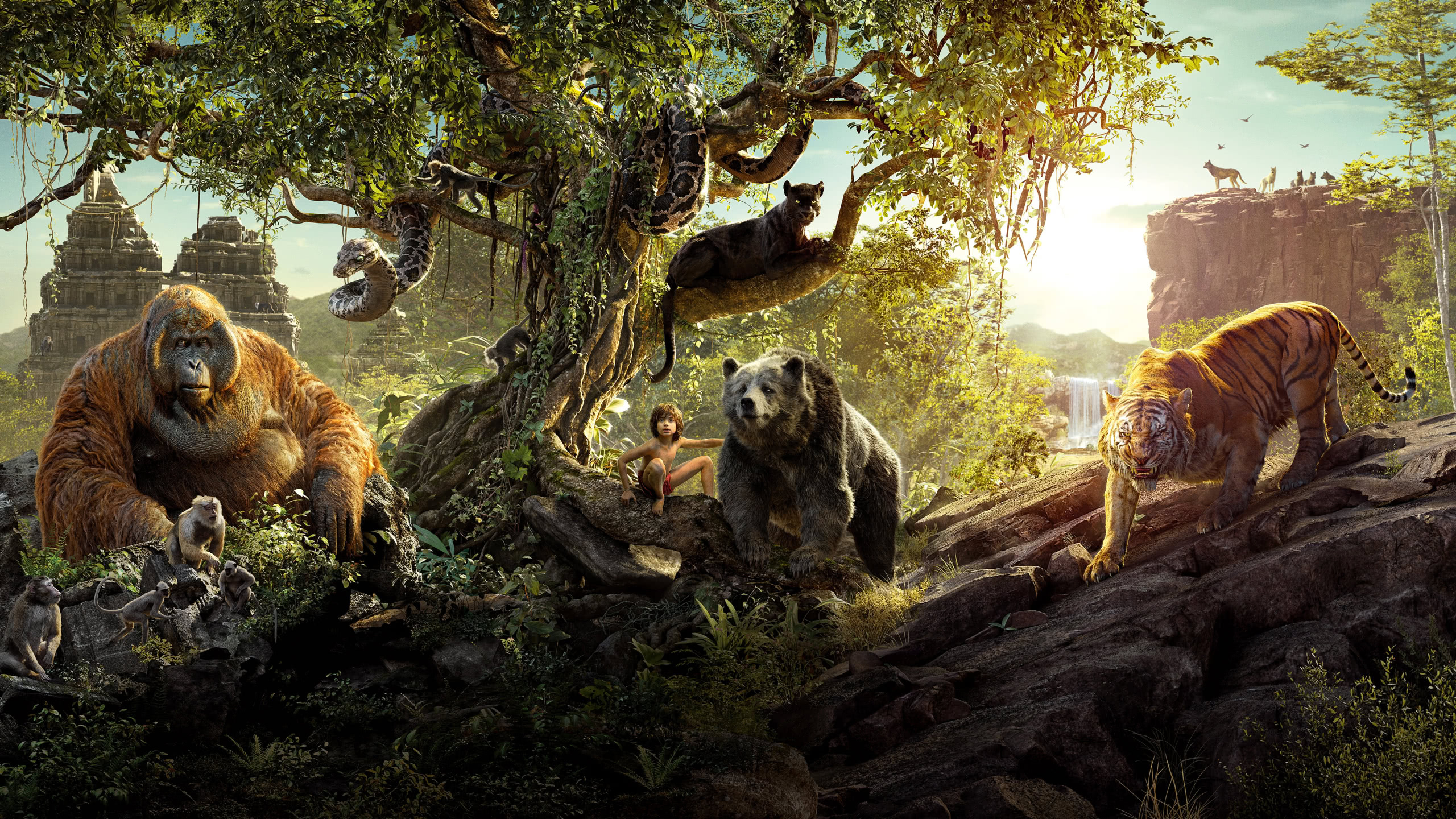 The Jungle Book Mowgli Shere Khan Bagheera King Louie WQHD 1440P Wallpaper
