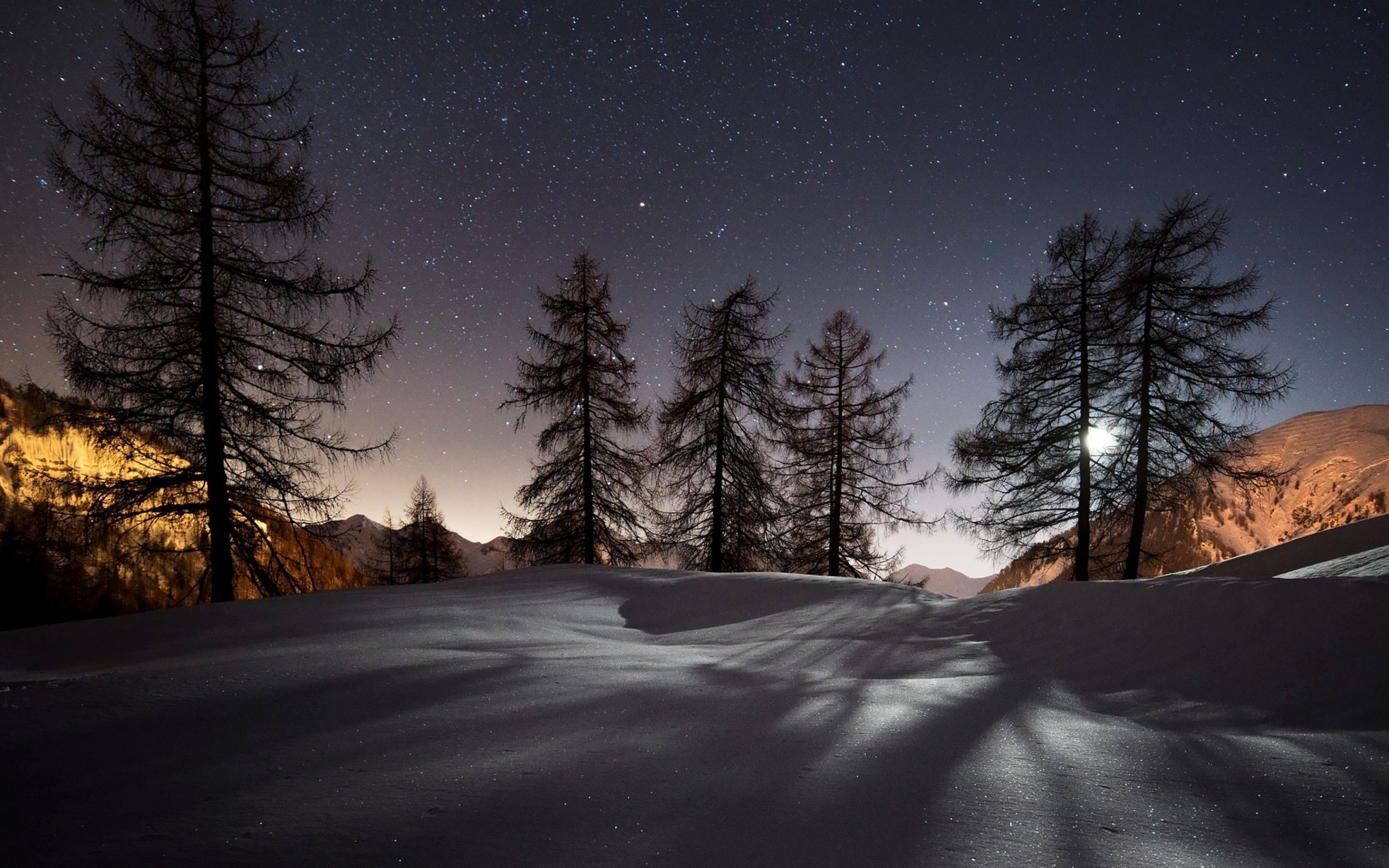 Wallpaper 4k Winter Trees Snow Wallpaper