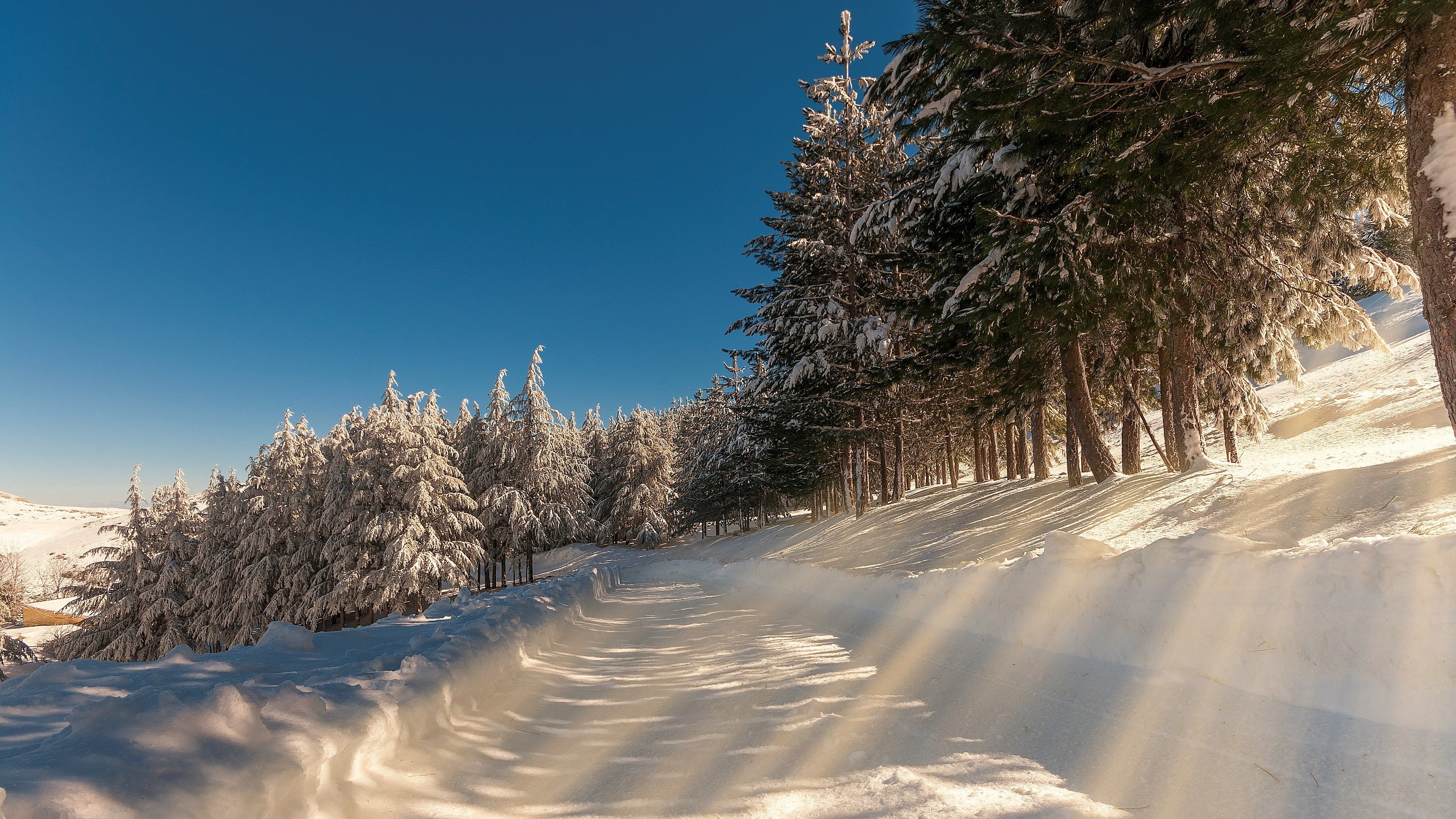 widescreen winter 3840x2160 K #wallpaper #hdwallpaper #desktop. Widescreen wallpaper, Winter background, Cool wallpaper