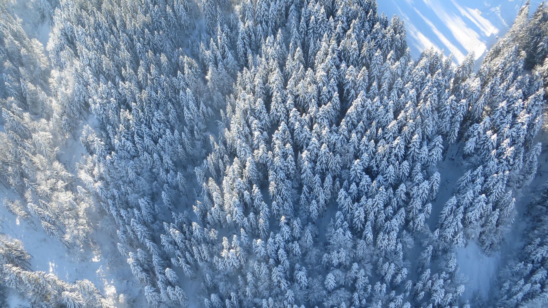 Desktop Wallpaper Winter, Forest, Aerial View, 4k, HD Image, Picture, Background, 90ff7a