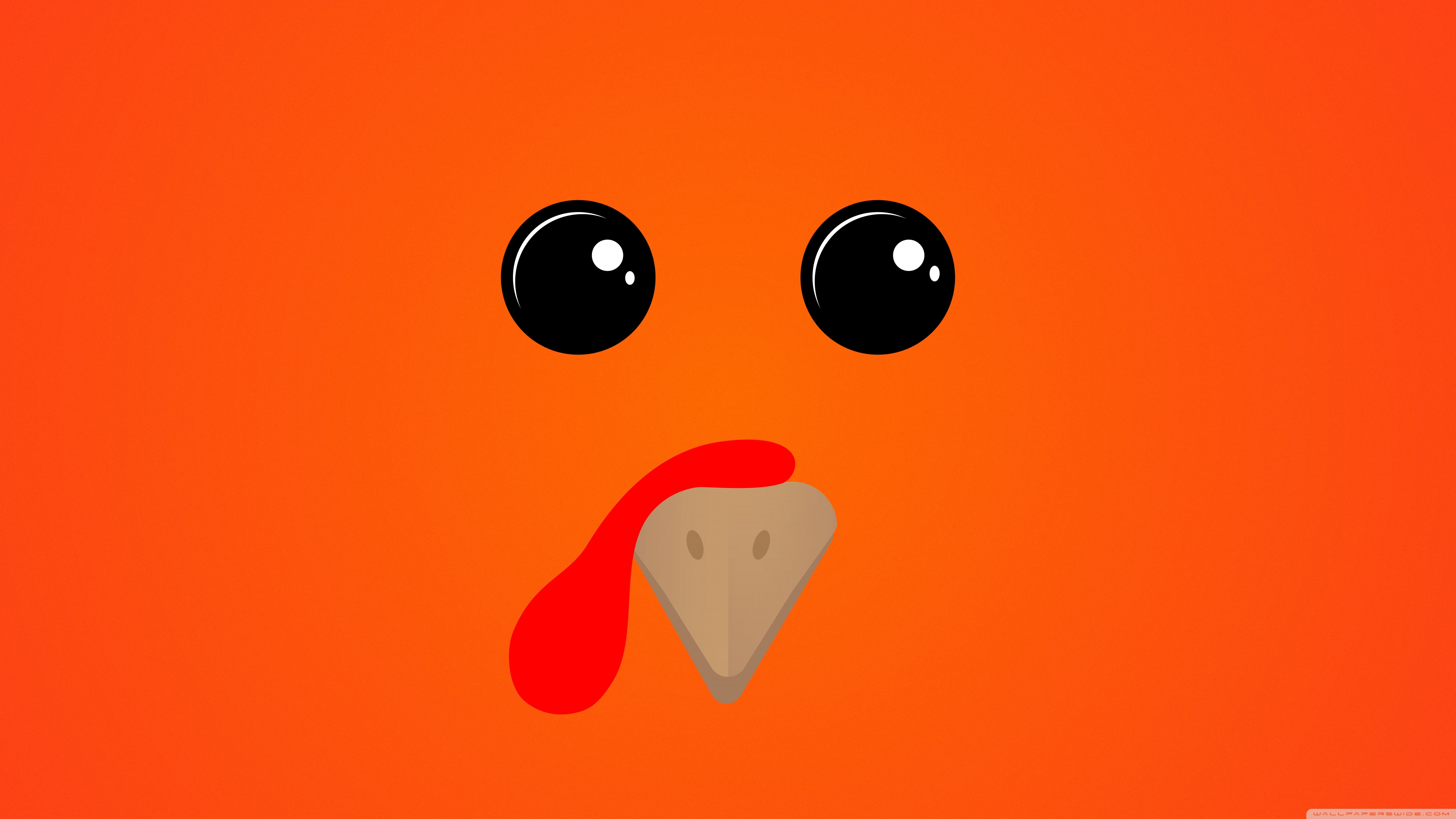 Thanksgiving Funny Turkey Ultra HD Desktop Background Wallpaper for 4K UHD TV, Tablet