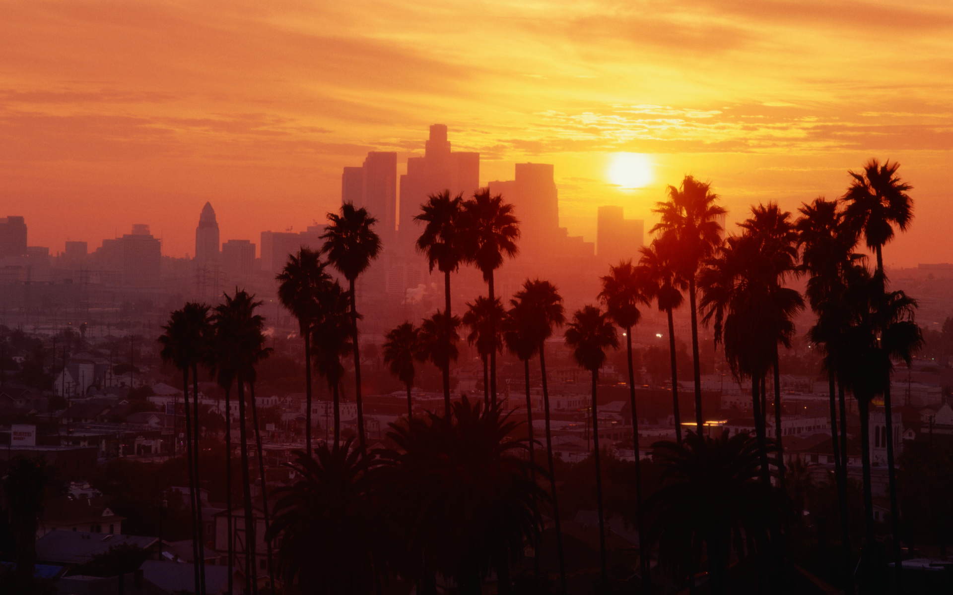 LA Wallpaper: Los Angeles Wallpaper Available For Download