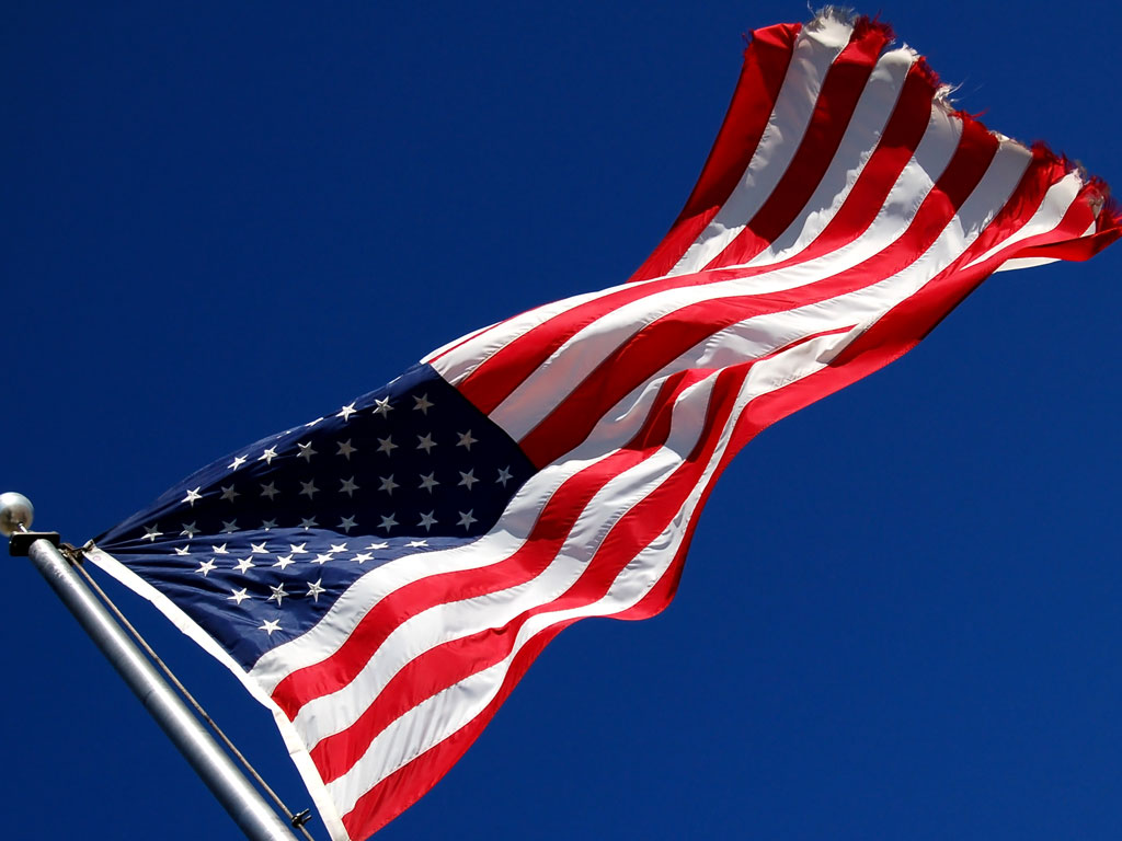 United State of America (USA) Flag Picture