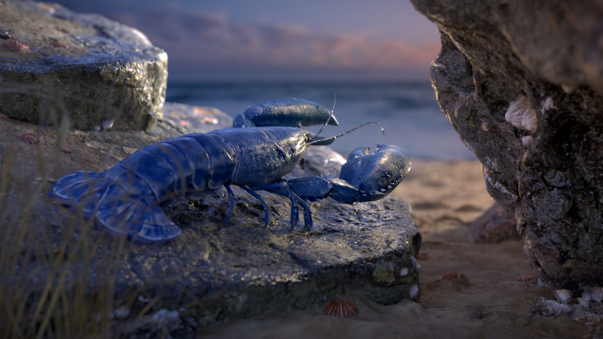 Blue Lobster Wallpapers - Wallpaper Cave