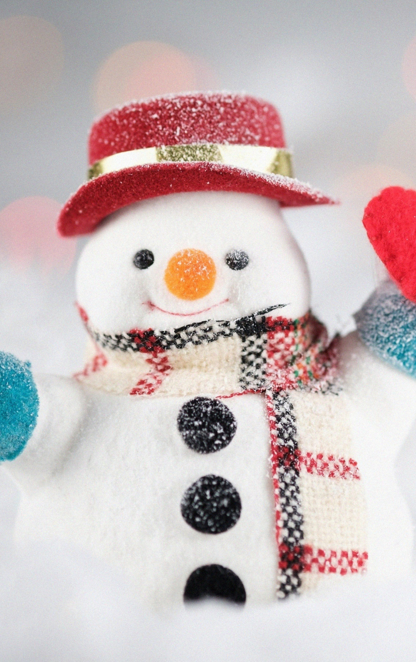Download snowman, cute, snowfall, christmas 840x1336 wallpaper, iphone iphone 5s, iphone 5c, ipod touch, 840x1336 HD image, background, 15801