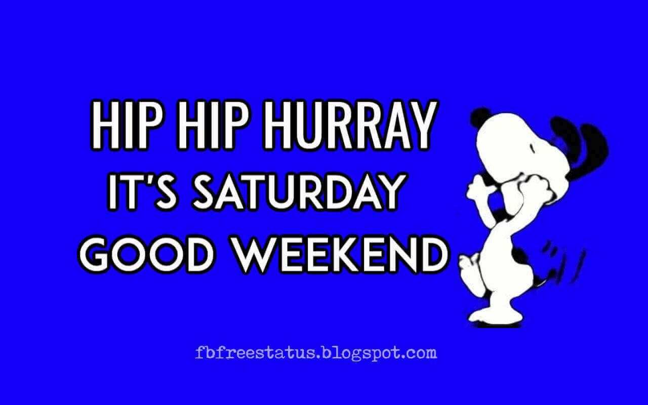 Funny & Happy Saturday Morning Quotes with Happy Saturday Image. Saturday quotes funny, Happy saturday image, Morning humor