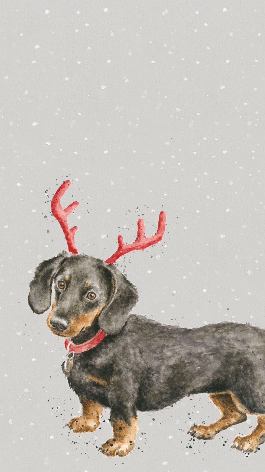 Dachshund Christmas Phone Wallpaper. Портреты домашних животных, Собаки, Обои