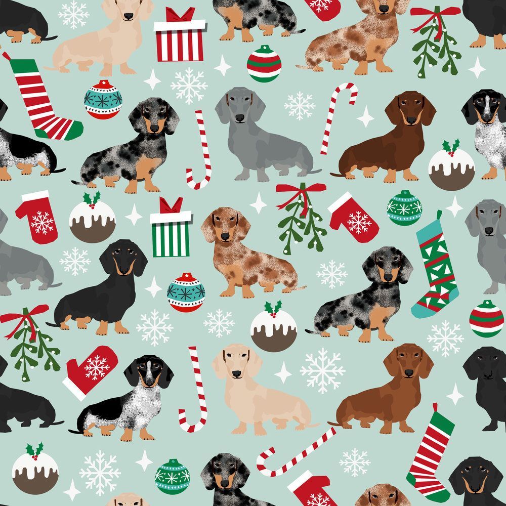 Dachshund Christmas Wallpaper