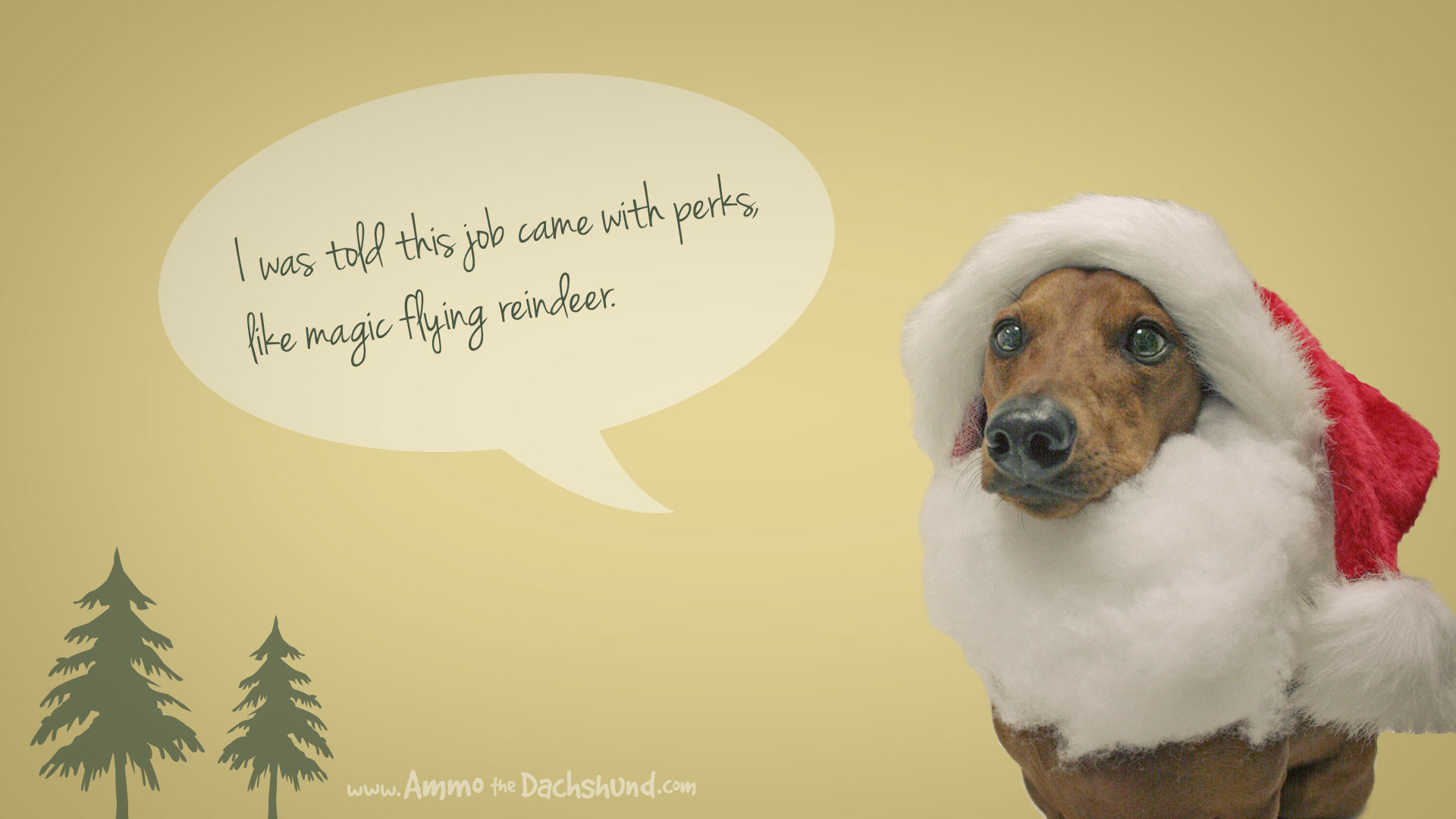 Dachshund Christmas Wallpaper