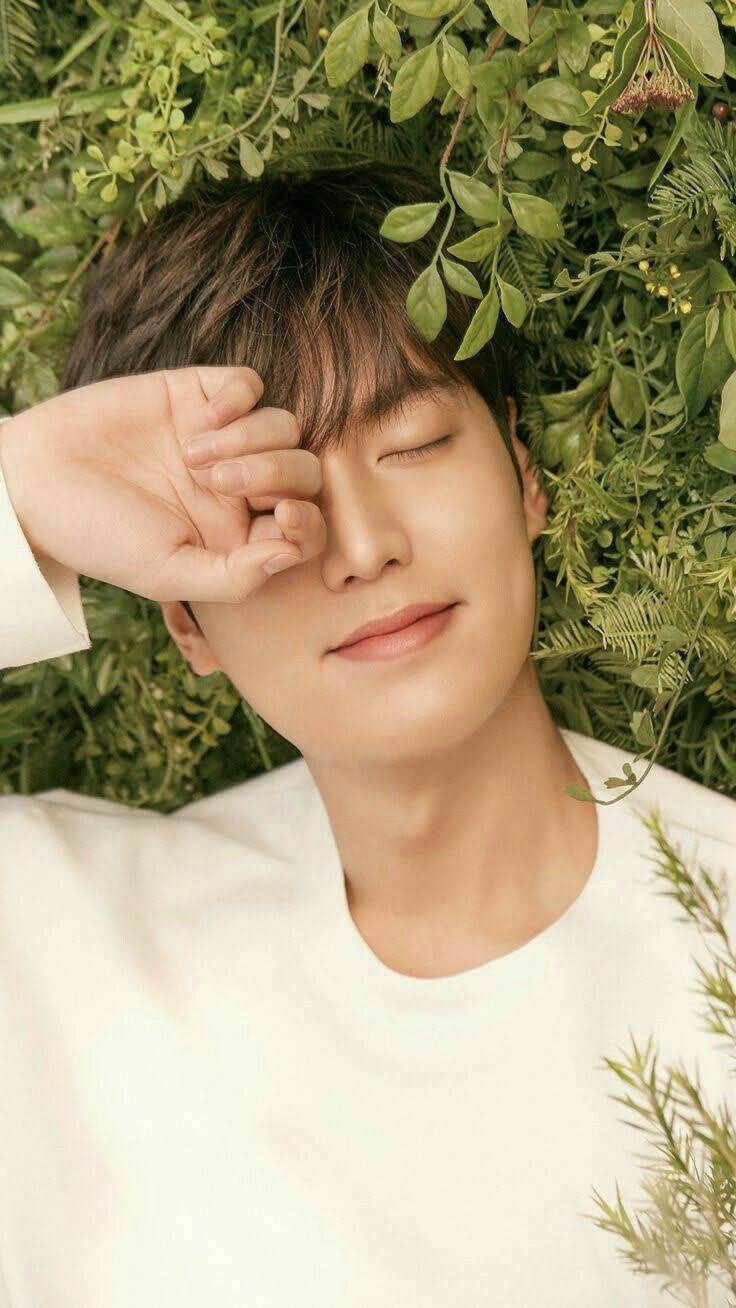 Lee Min Ho Wallpaper