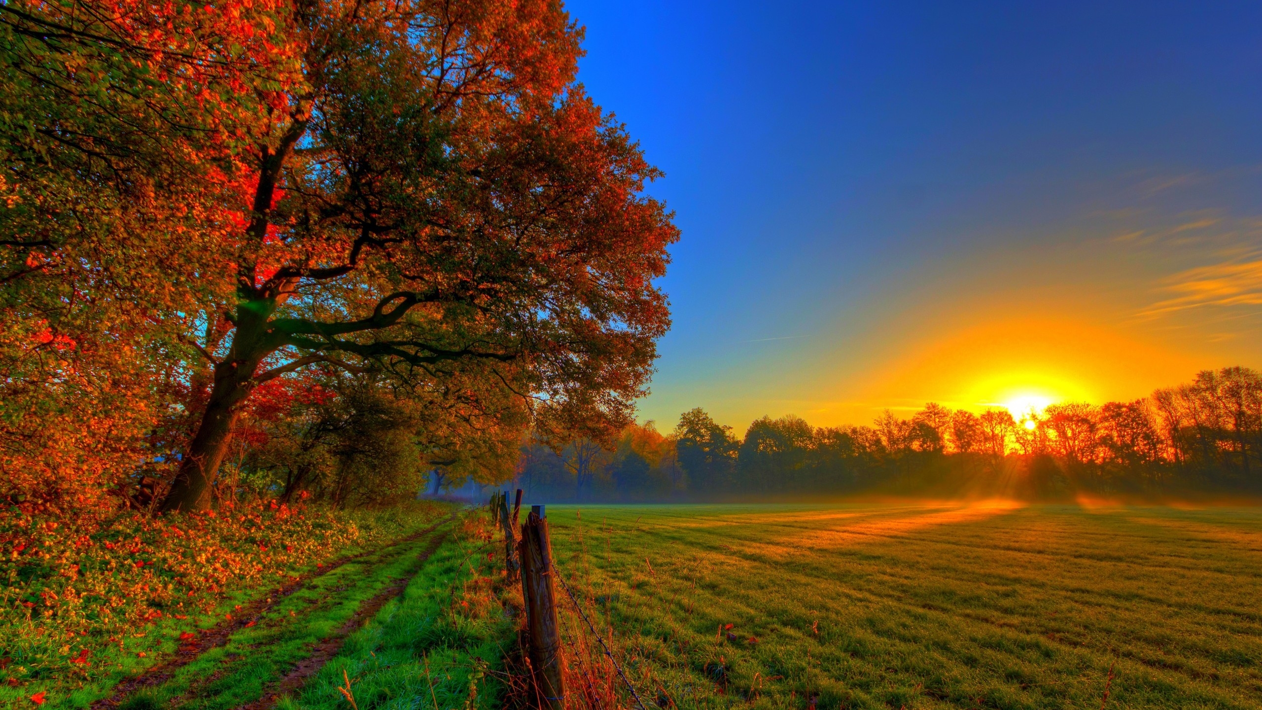 Beautiful autumn sunset nature wallpaperx1440