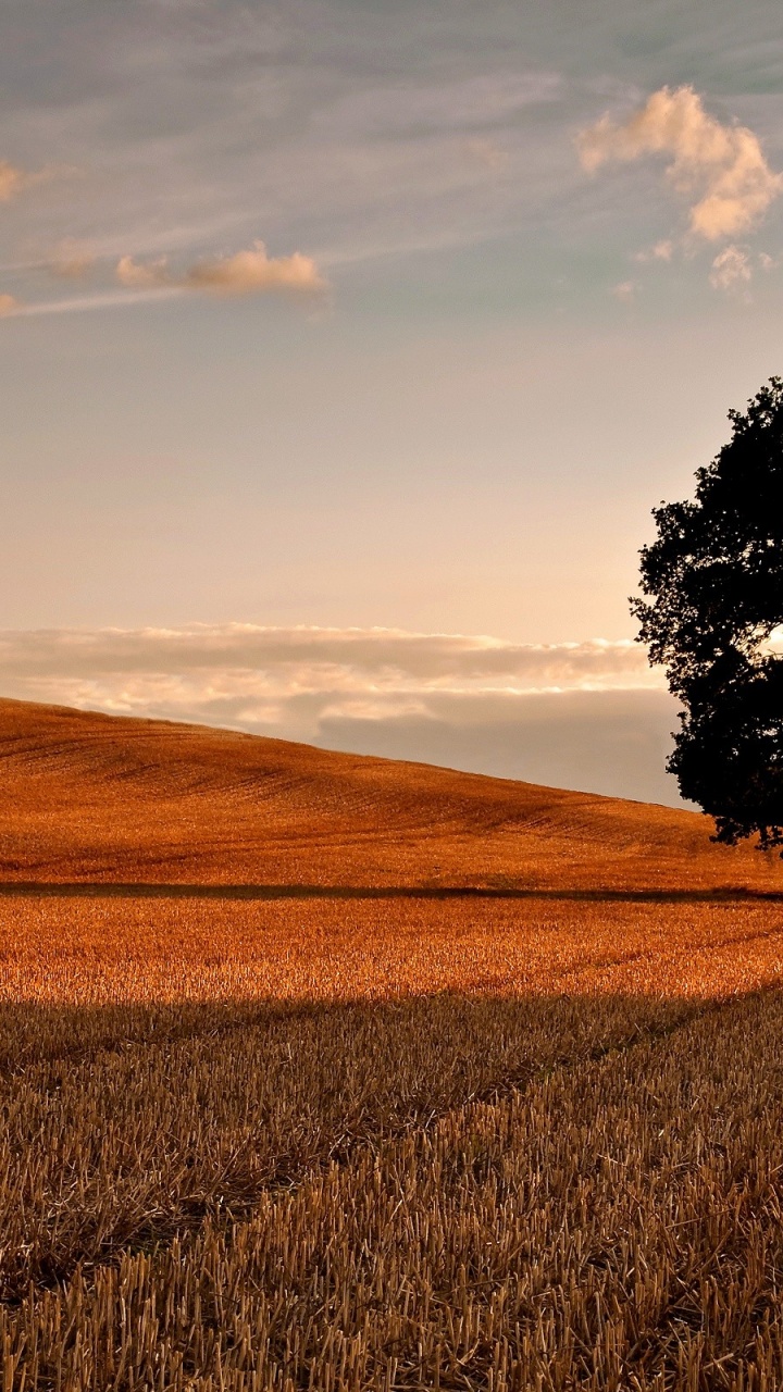 Autumn Sunset Galaxy s3 wallpaper