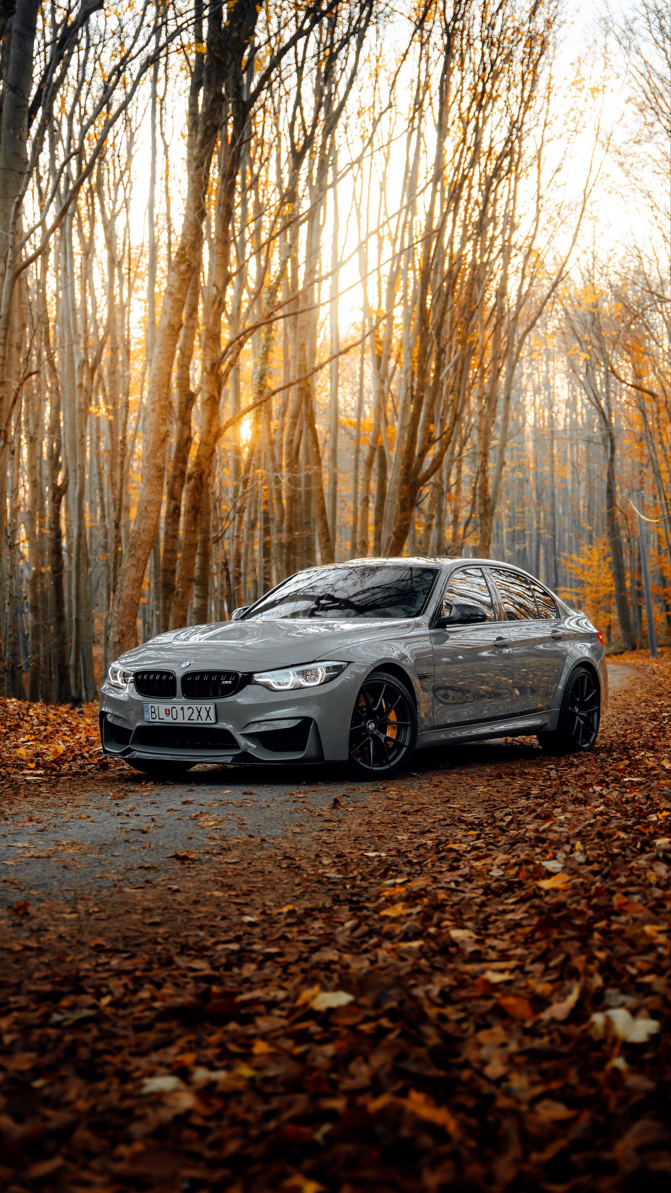 Download wallpaper 1350x2400 bmw m bmw, car, gray, side view, forest, autumn iphone 8+/7+/6s+/for parallax HD background