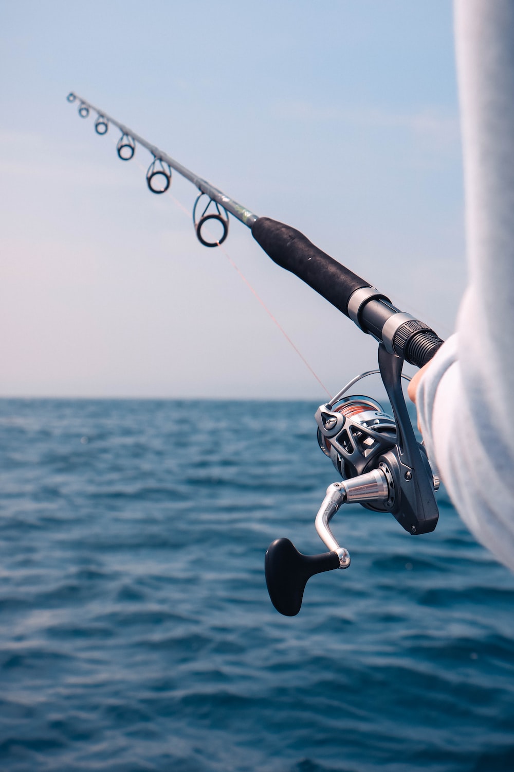 Fishing Rod Picture [HD]. Download Free Image