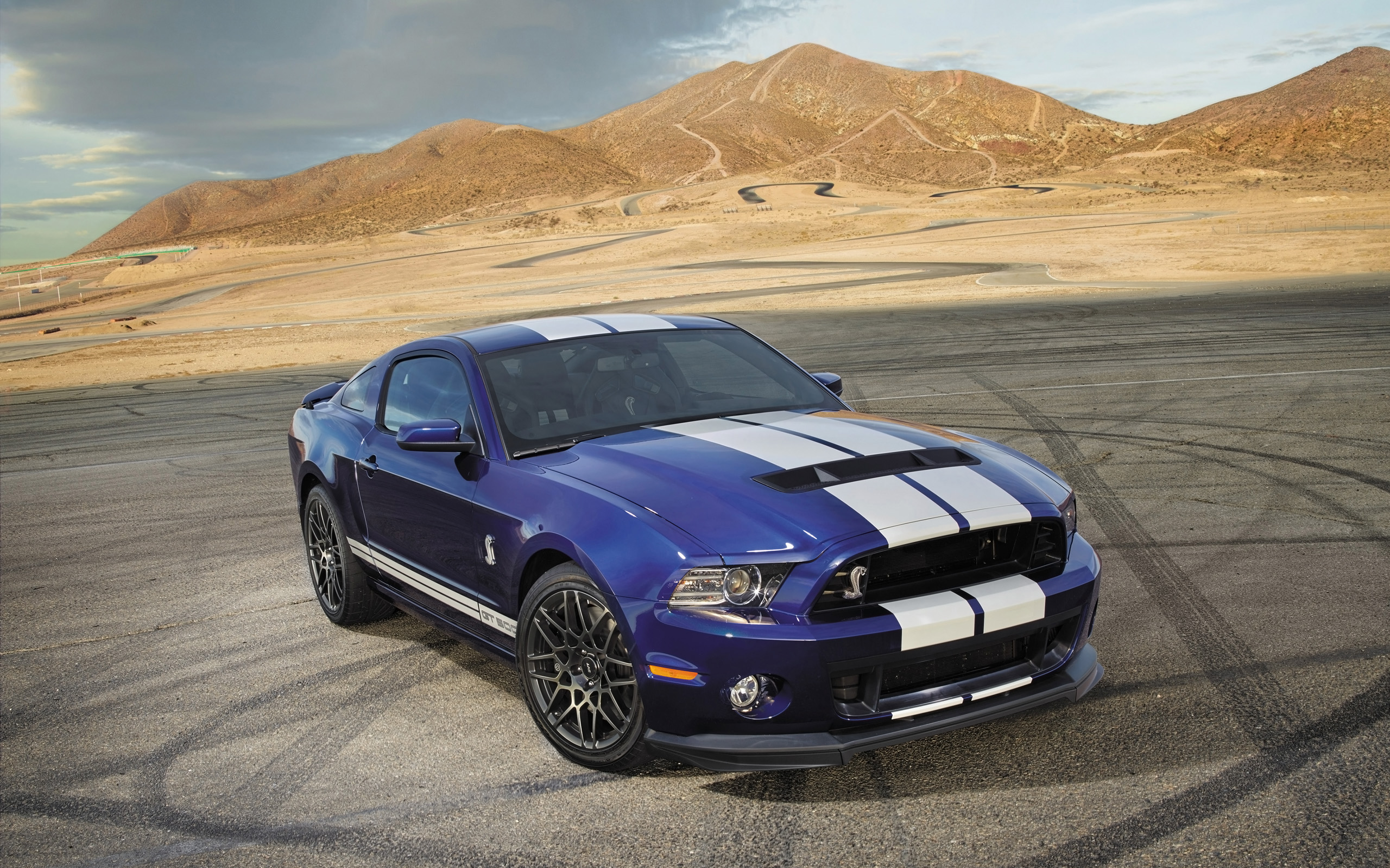 Ford Shelby GT500 mustang muscle jh wallpaperx1600