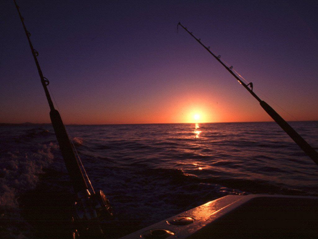 Fishing the Sunset. Saltwater fishing rods, Saltwater fishing, Fish wallpaper