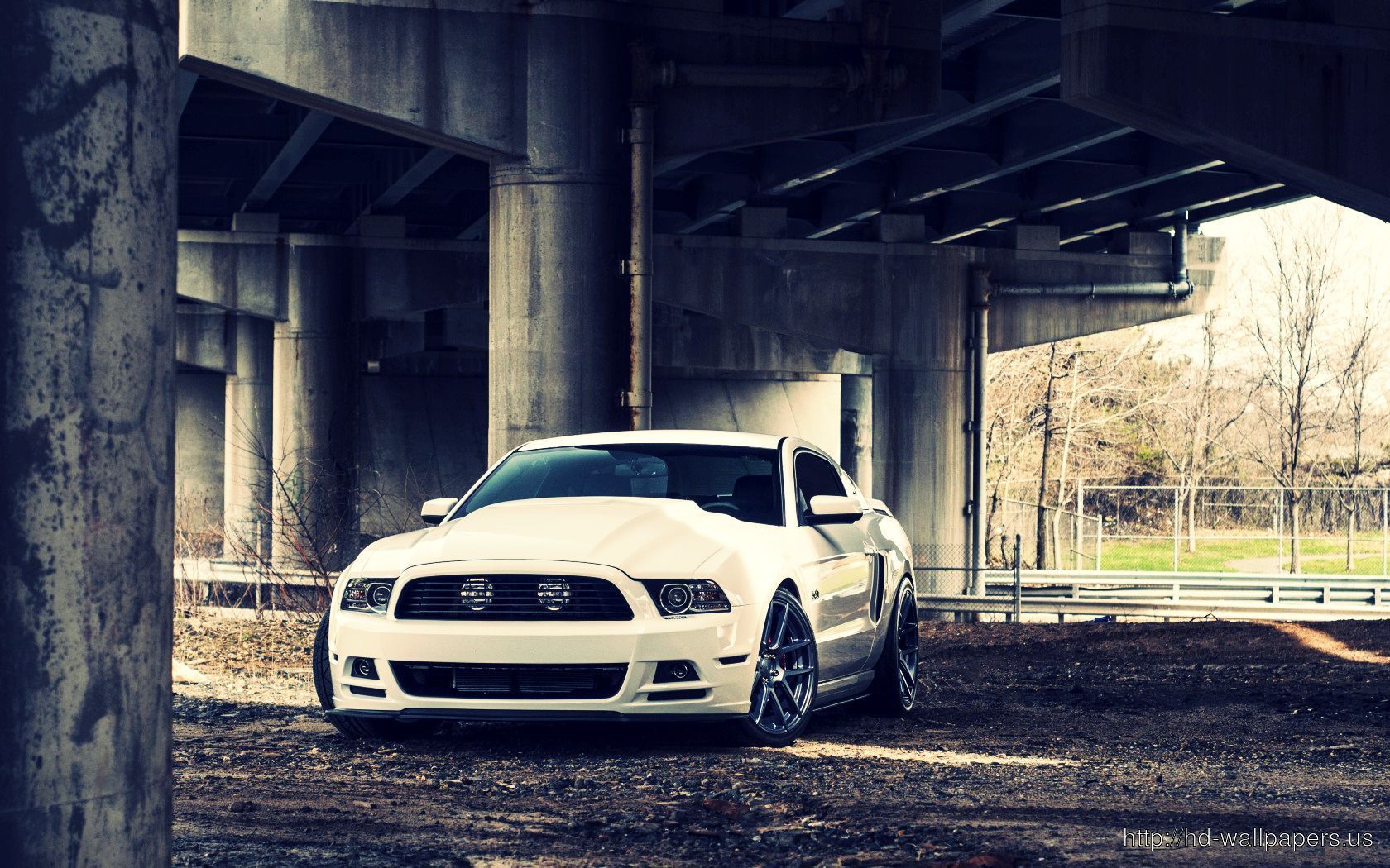 White Mustang Wallpaper