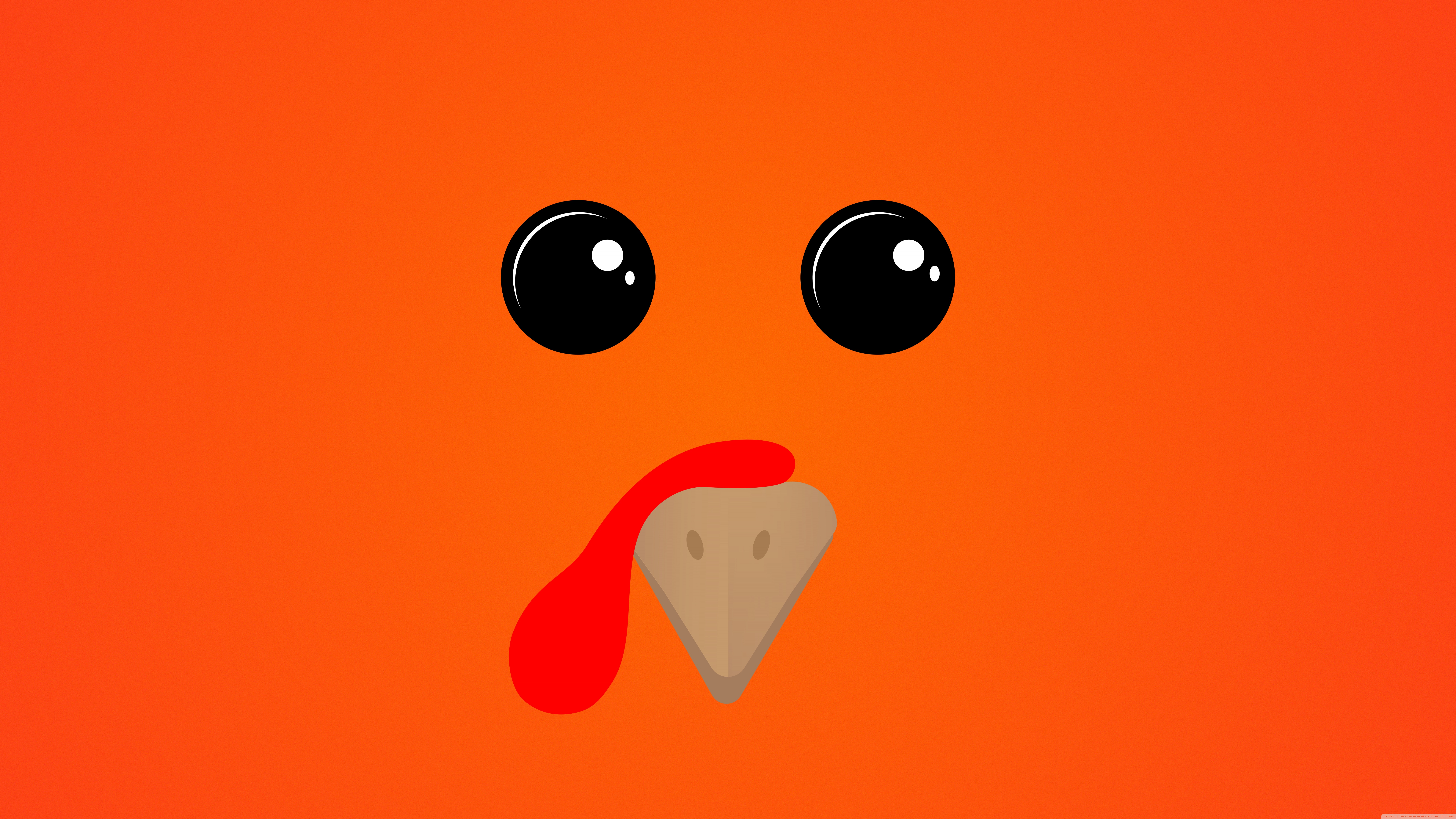 Thanksgiving Funny Turkey Ultra HD Desktop Background Wallpaper for 4K UHD TV, Tablet