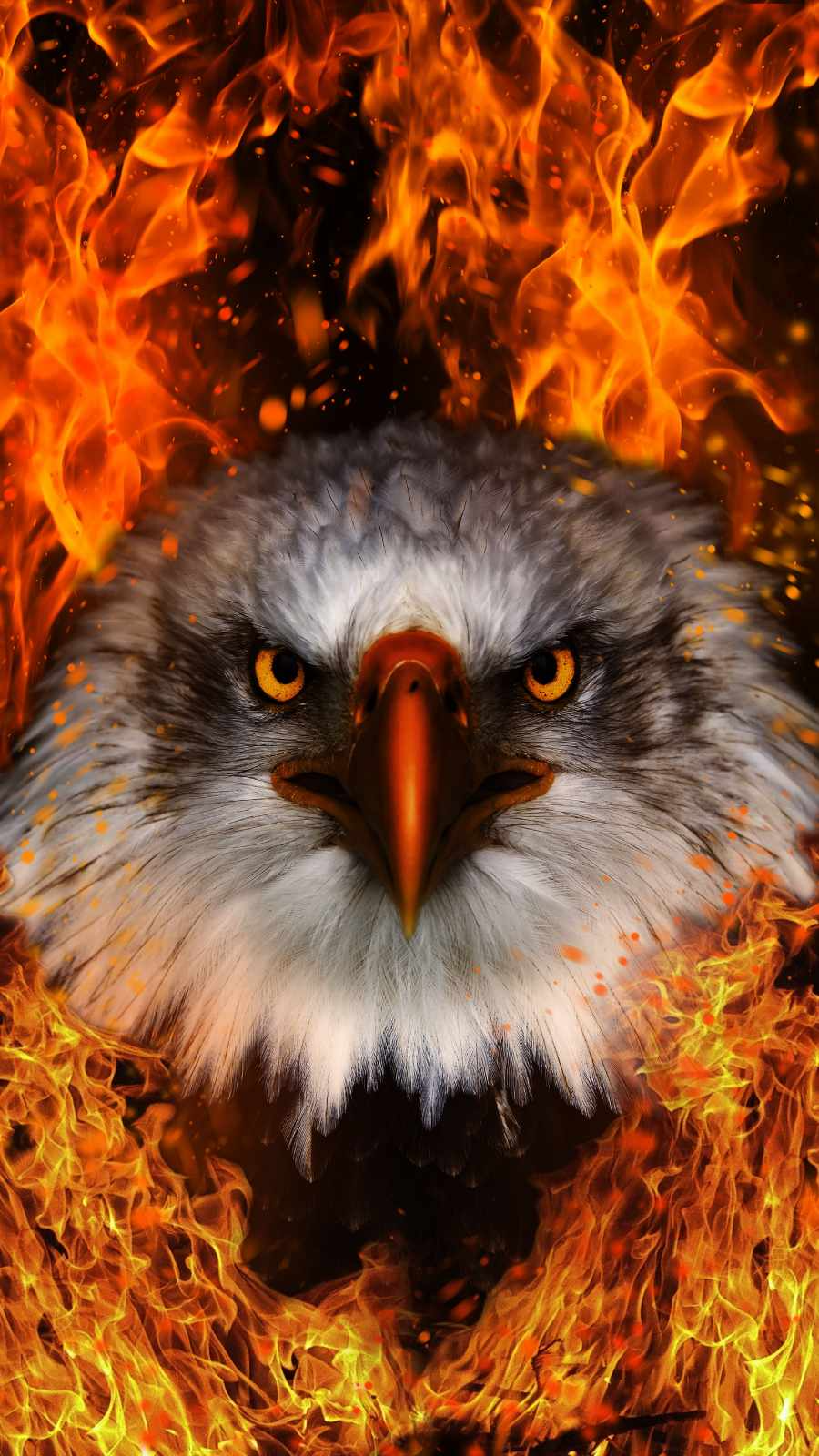 Eagle Fire IPhone Wallpaper Wallpaper, iPhone Wallpaper. iPhone wallpaper, 4k wallpaper iphone, Wallpaper