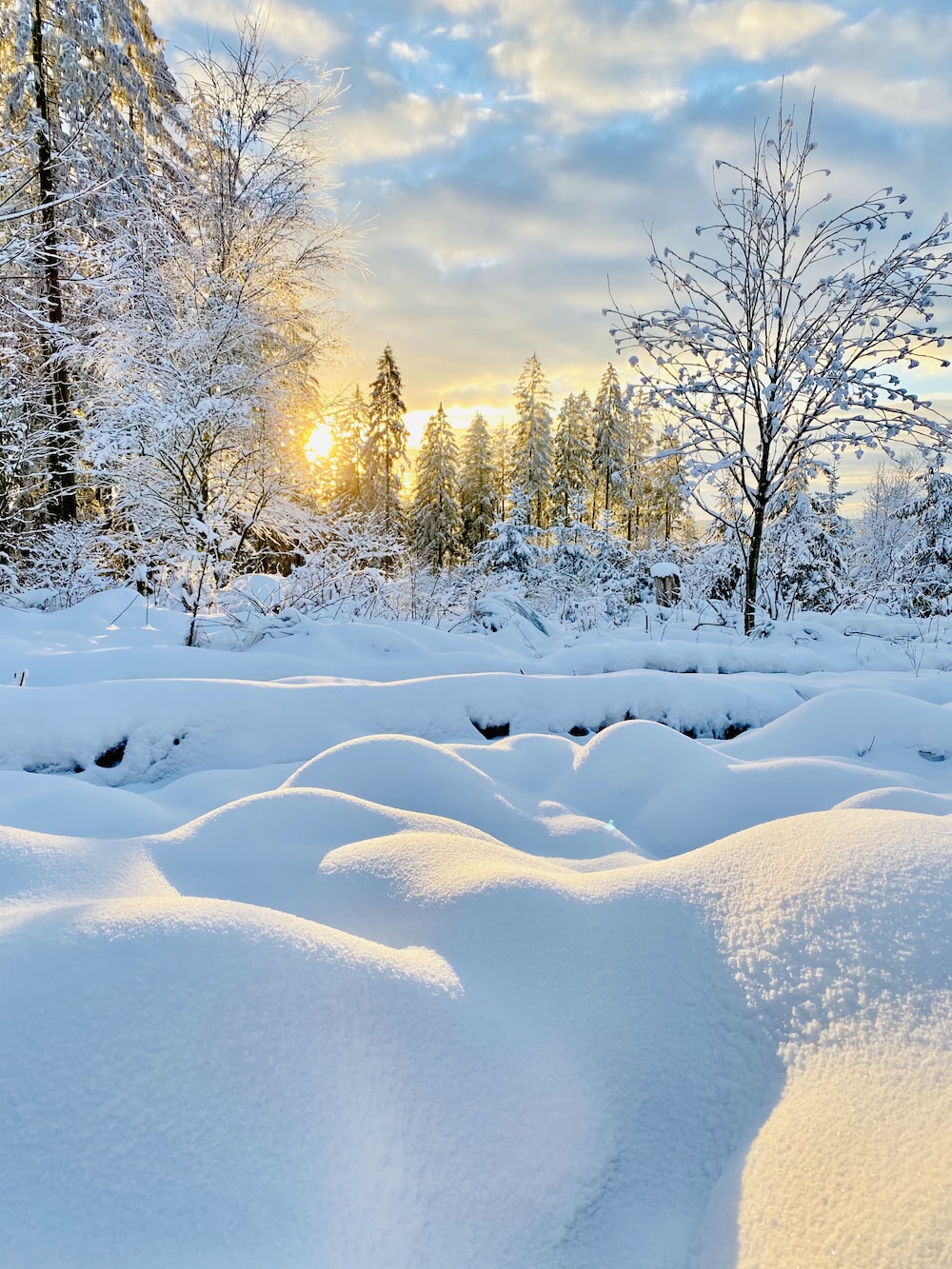 Winter Scenery Picture. Download Free Image