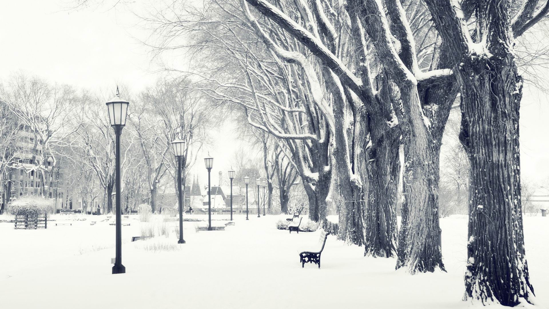 Snowy Park Winter Snow Scenes Wallpaper