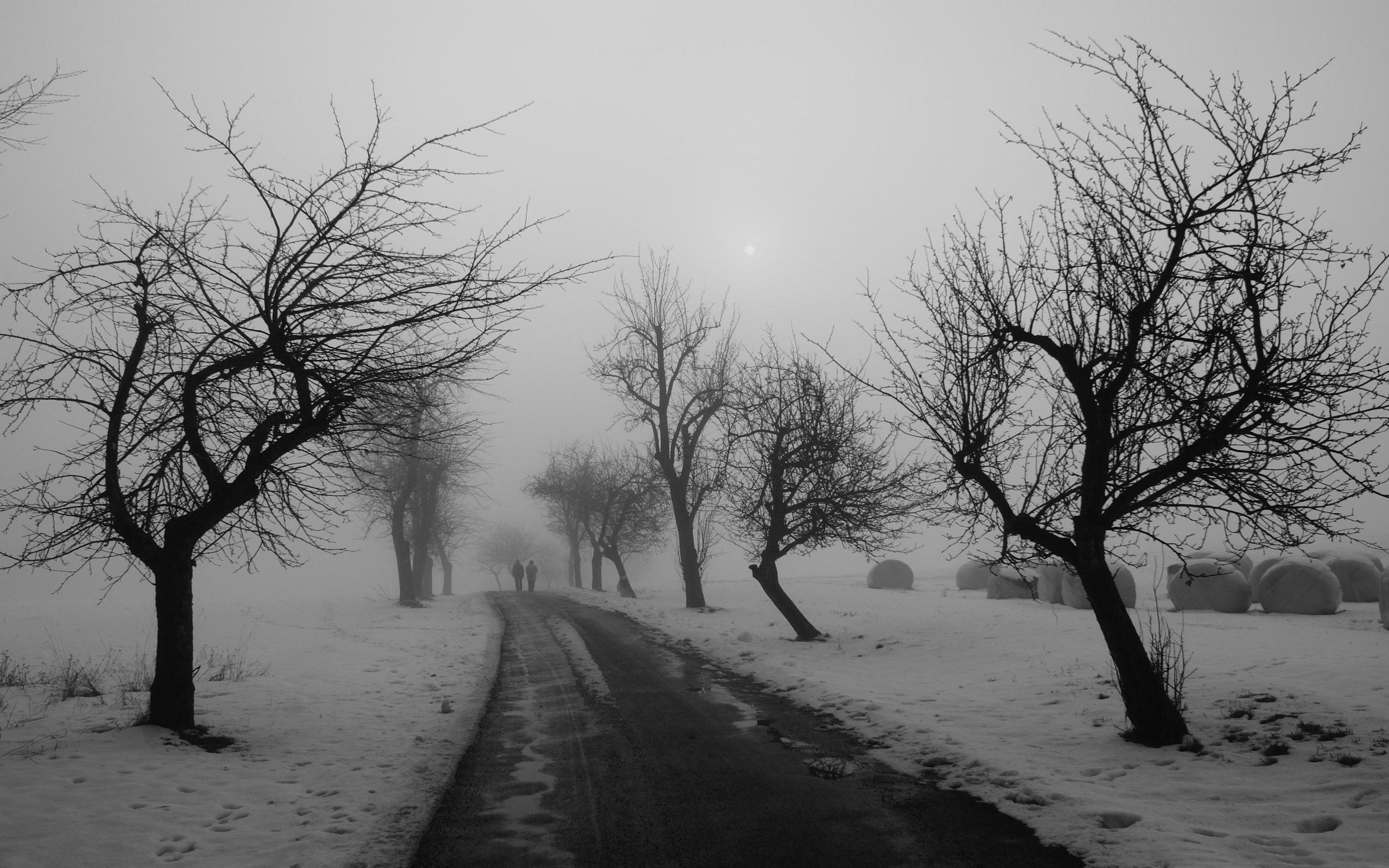 Winter Road Black And White Winter Snow Scenes Wallpaper