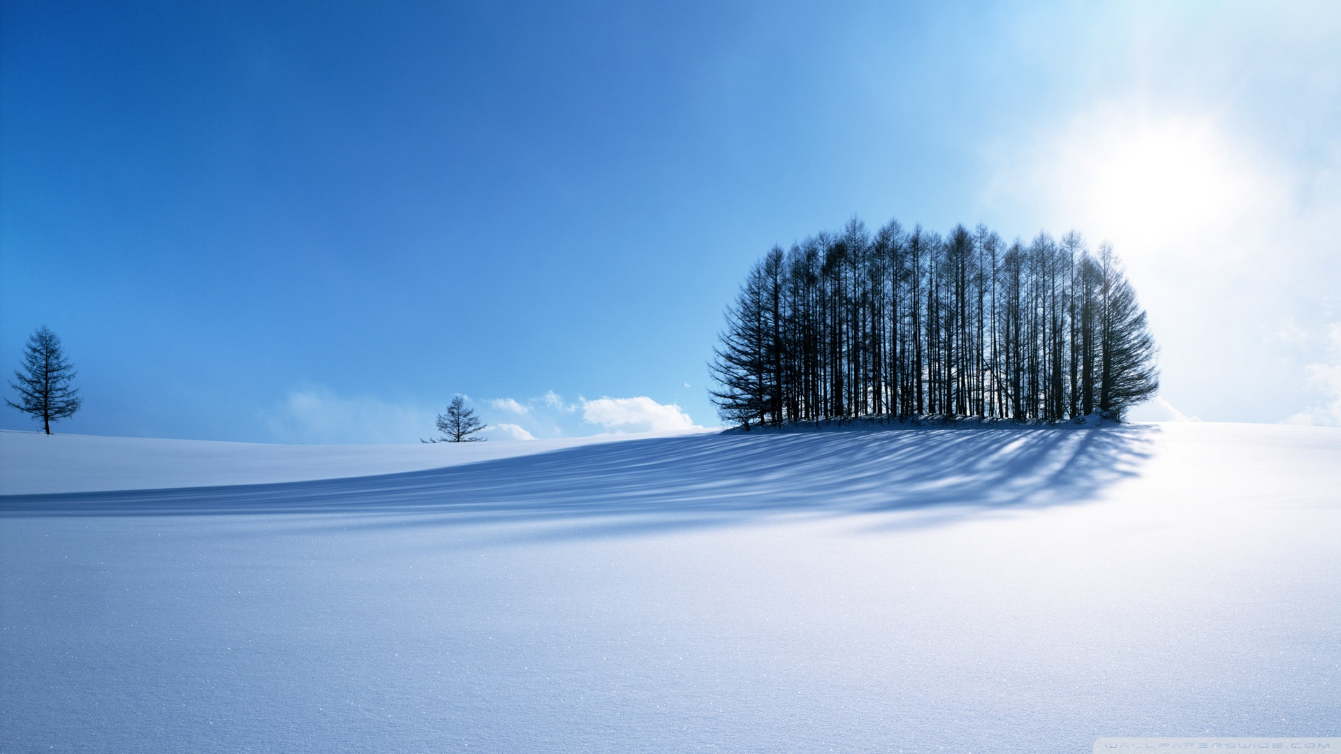 Winter Scenery, Japan Ultra HD Desktop Background Wallpaper for 4K UHD TV, Widescreen & UltraWide Desktop & Laptop, Tablet