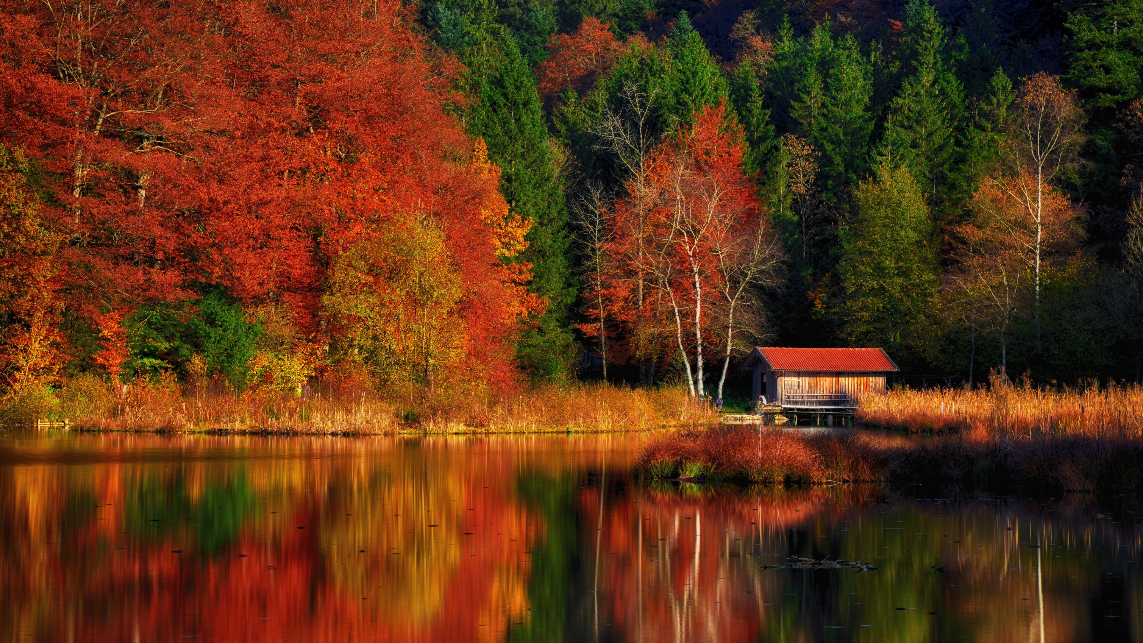 Autumn Scenery Wallpaper 4K, Lakeside, Colourful, Nature