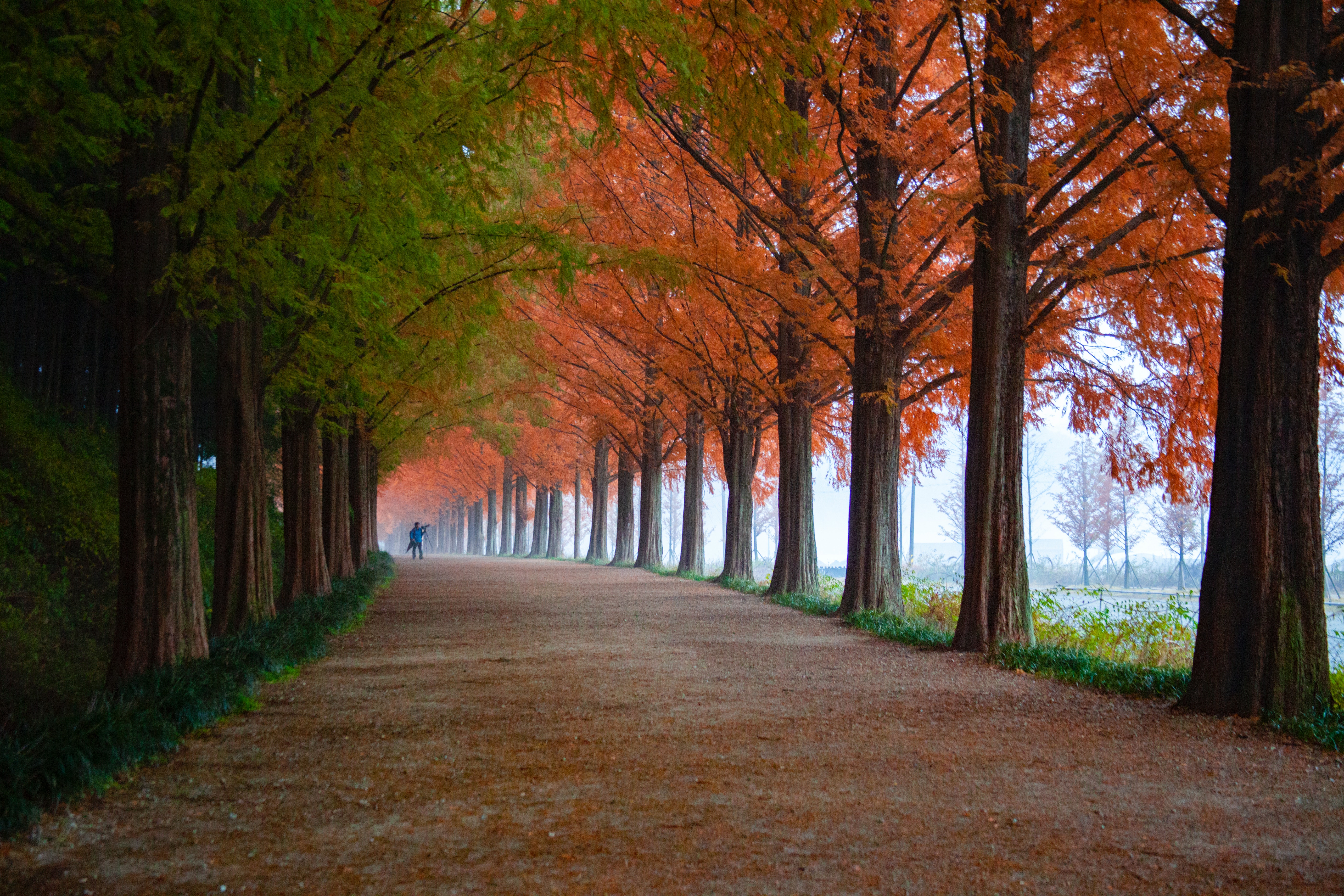 Autumn Wallpaper Photo, Download Free Autumn Wallpaper & HD Image