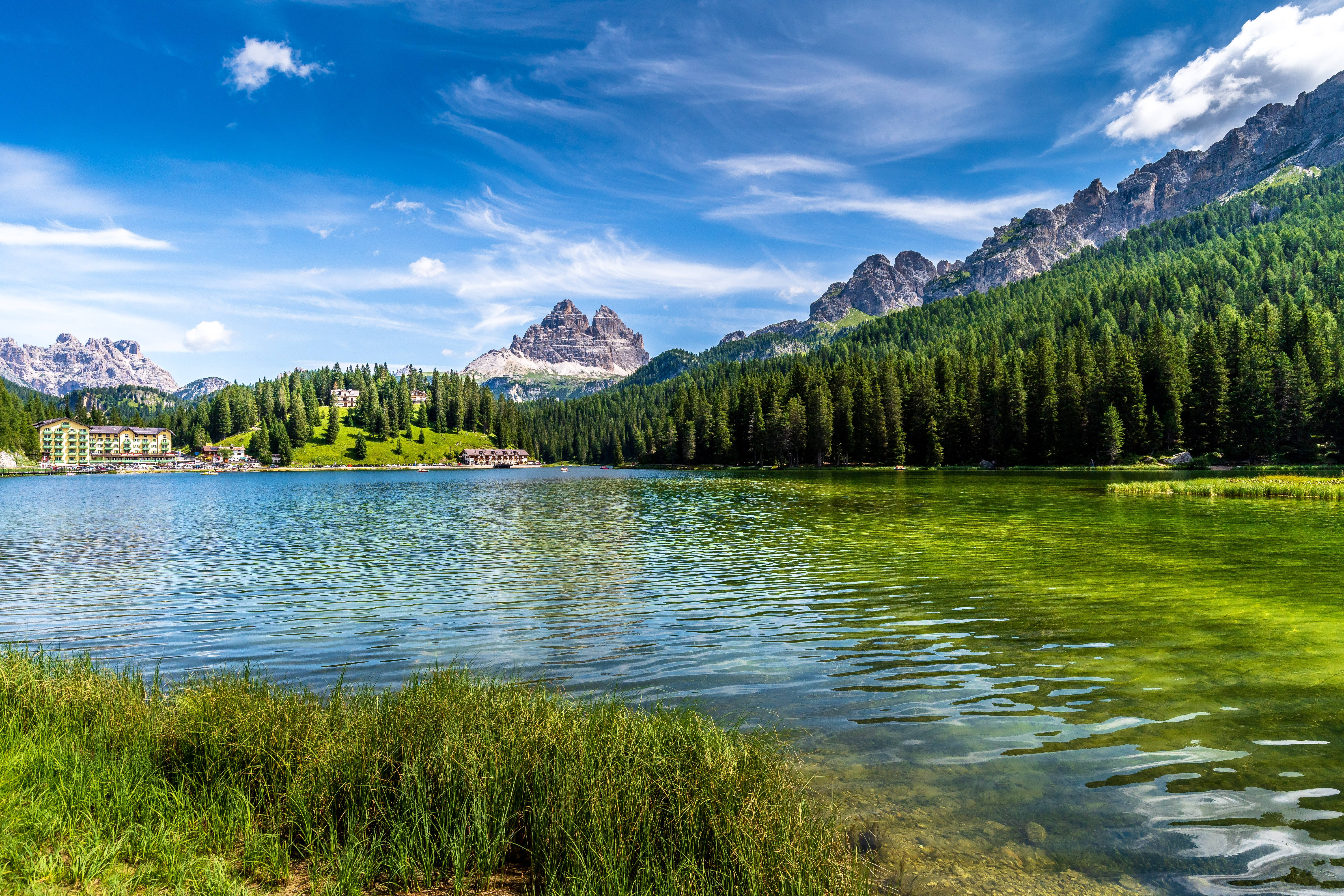 Download Forest Lake Misurina Wallpaper