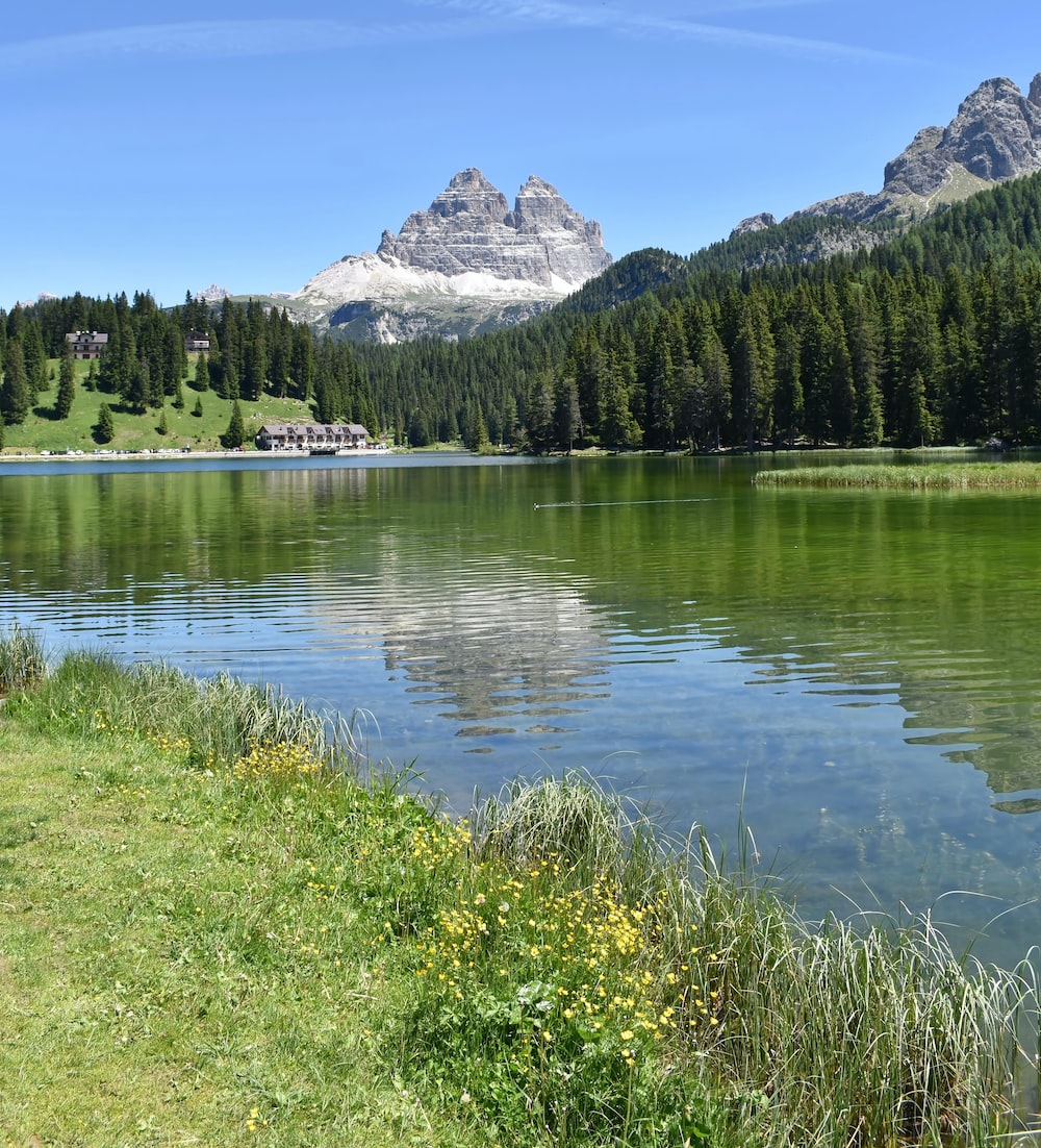 green trees near lake and mountain under blue sky during daytime photo