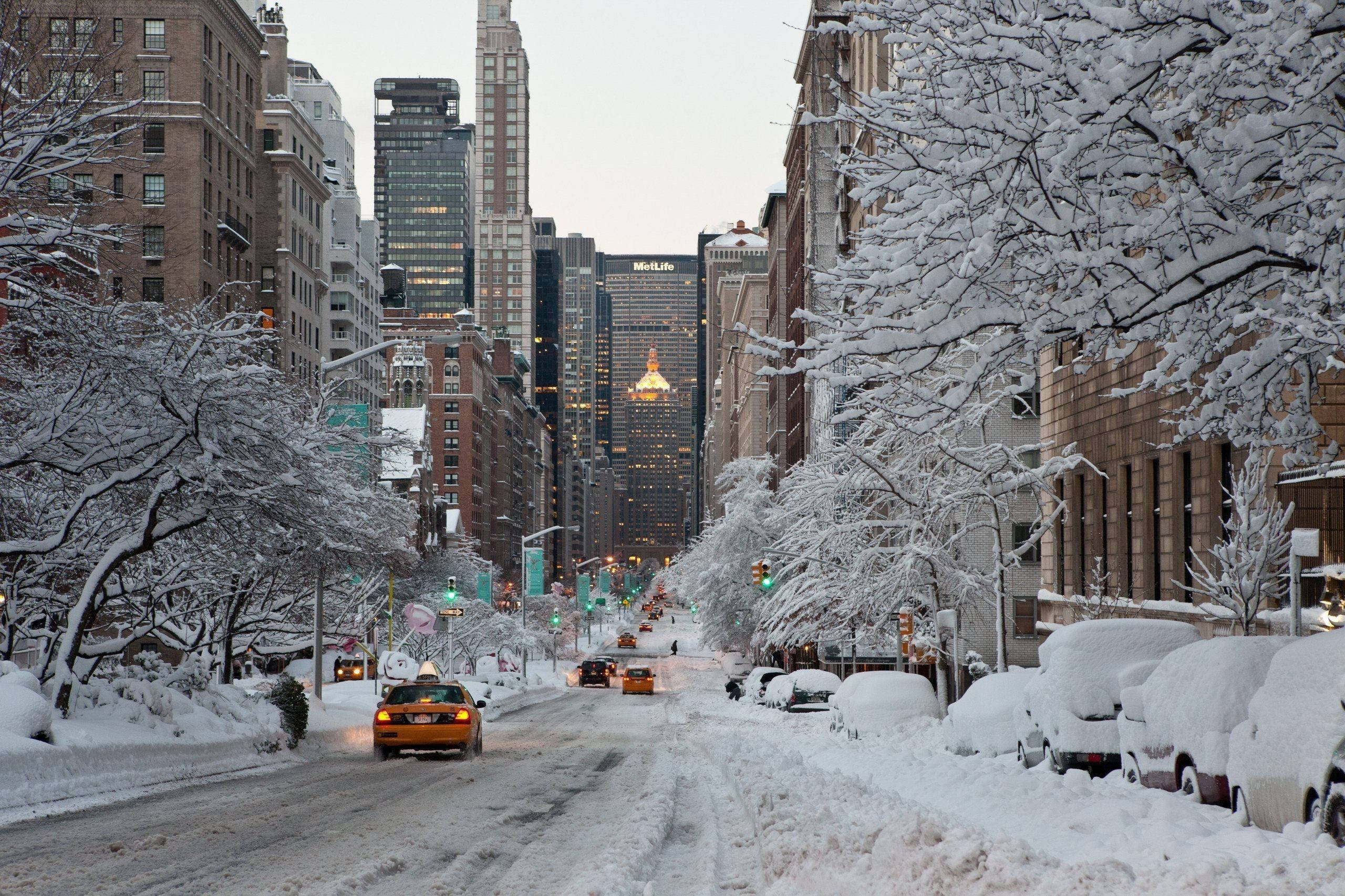Download Snowed Down New York Winter Aesthetic Wallpaper