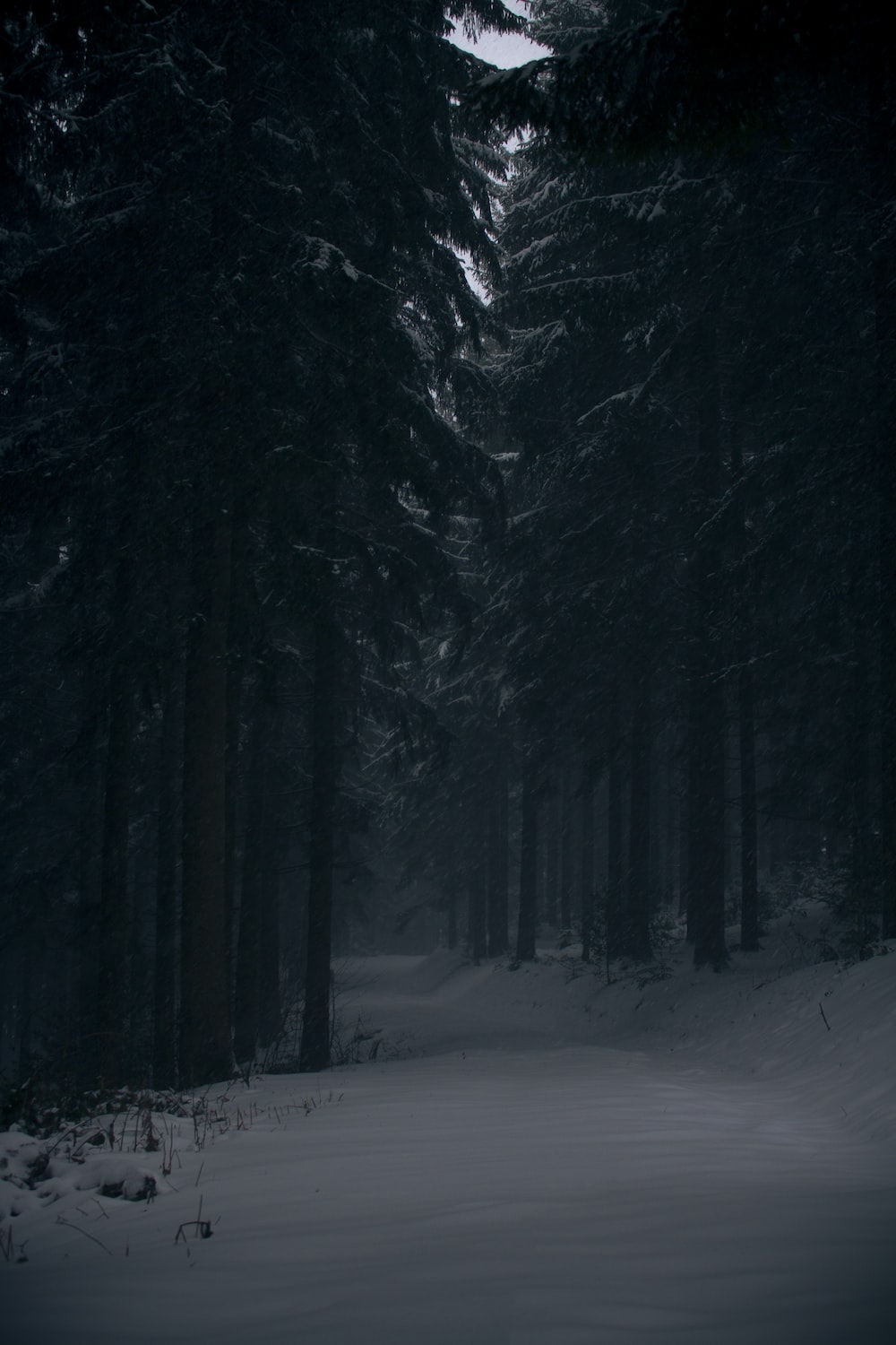 Dark Winter Picture. Download Free Image