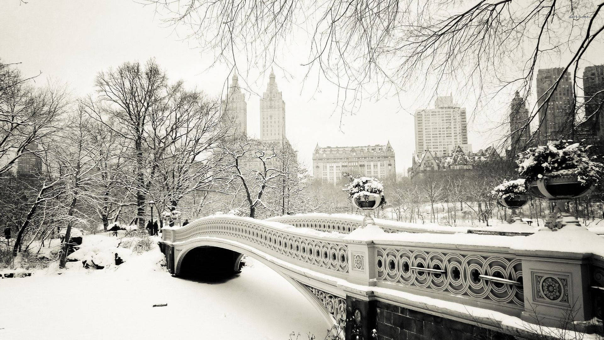 Download Winter Aesthetic Central Park Wallpaper